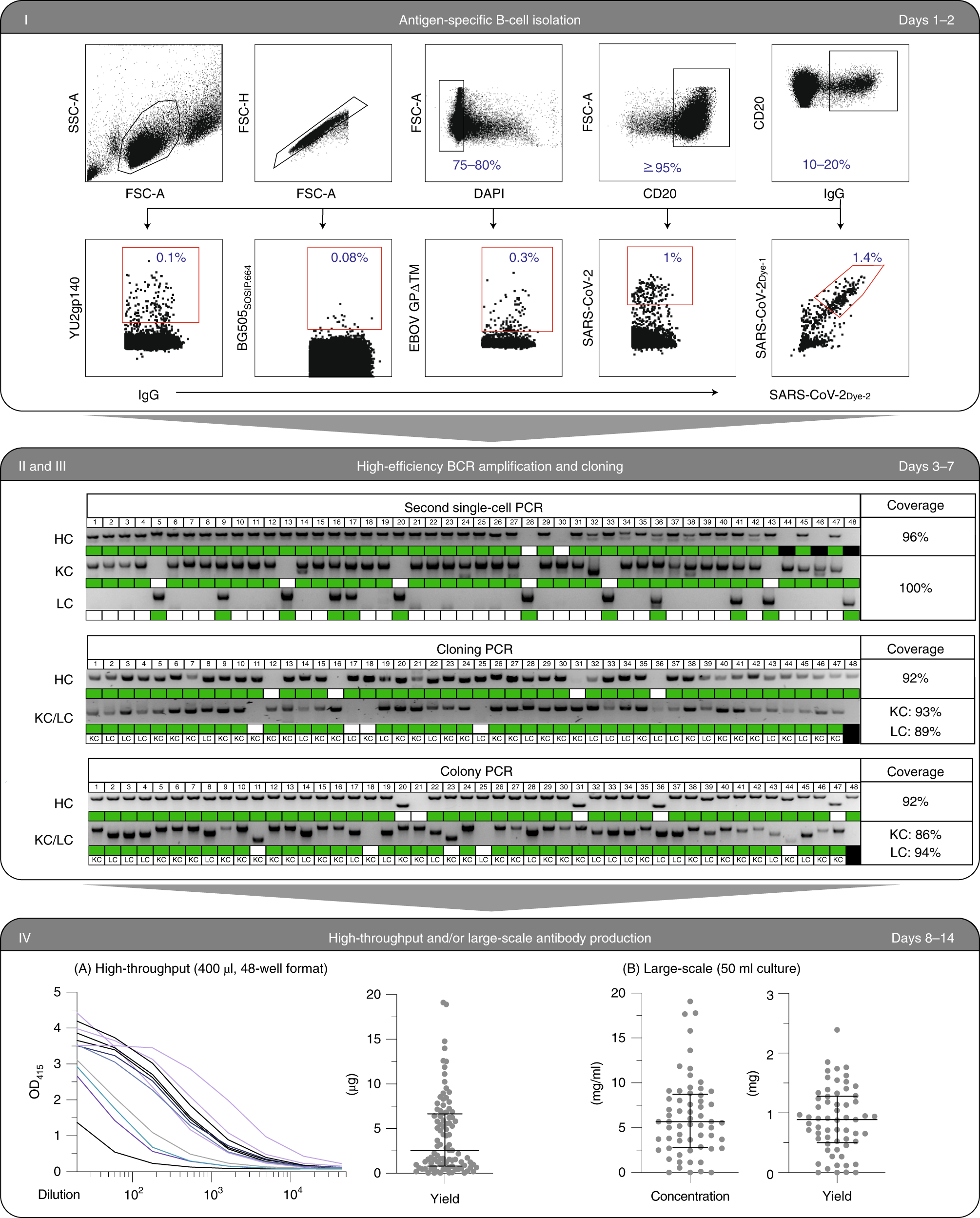 Fig. 3: Anticipated results for the different stages of the antibody isolation pipeline.