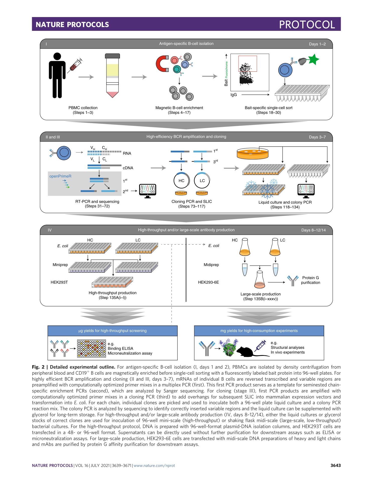 page-5
