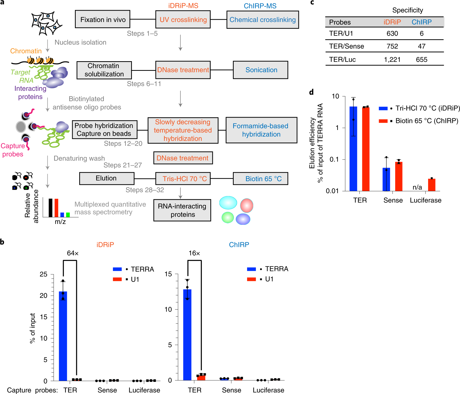 Fig. 1: Overview of iDRiP and ChIRP.