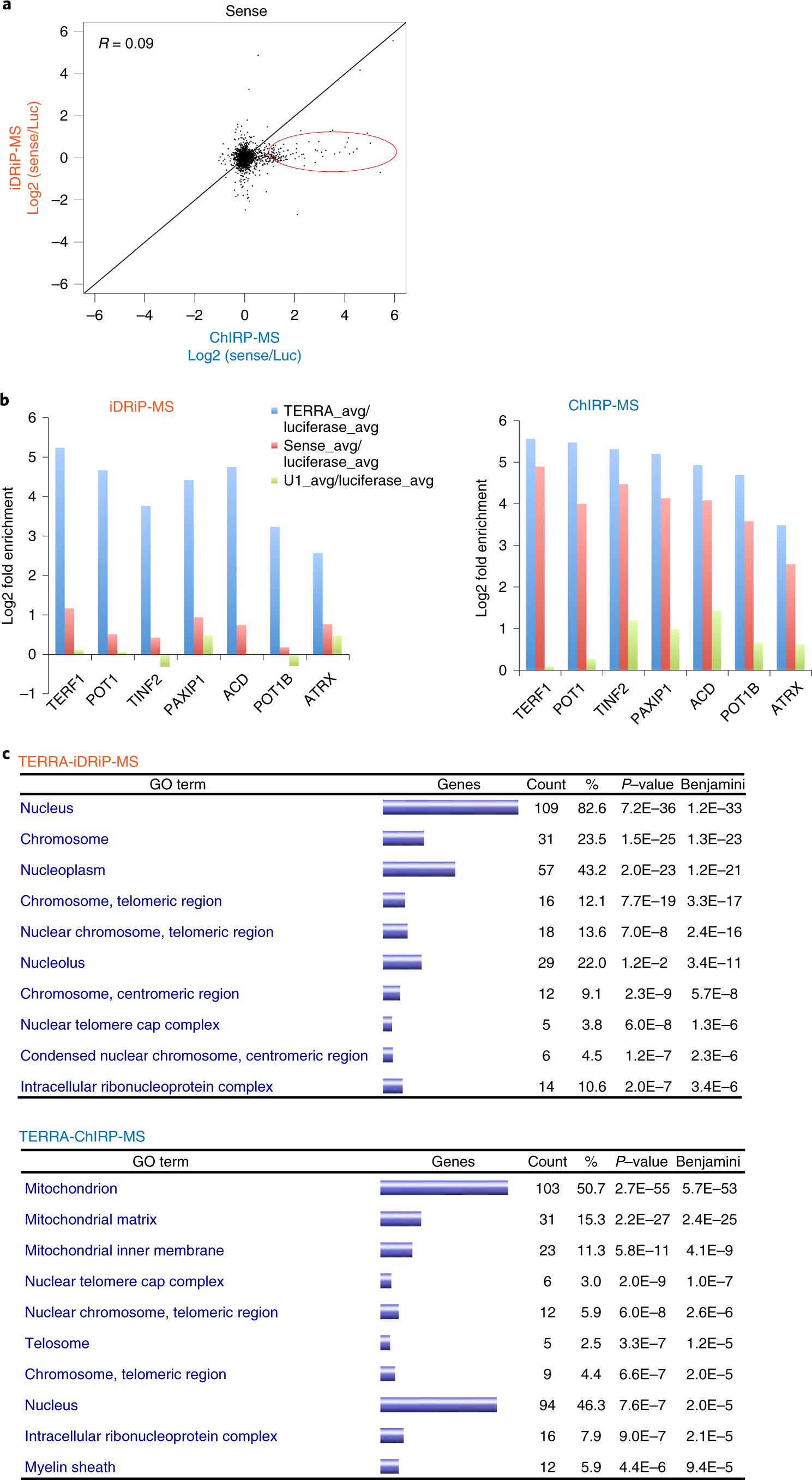 Fig. 3: iDRiP shows overall greater specificity for TERRA RNA.