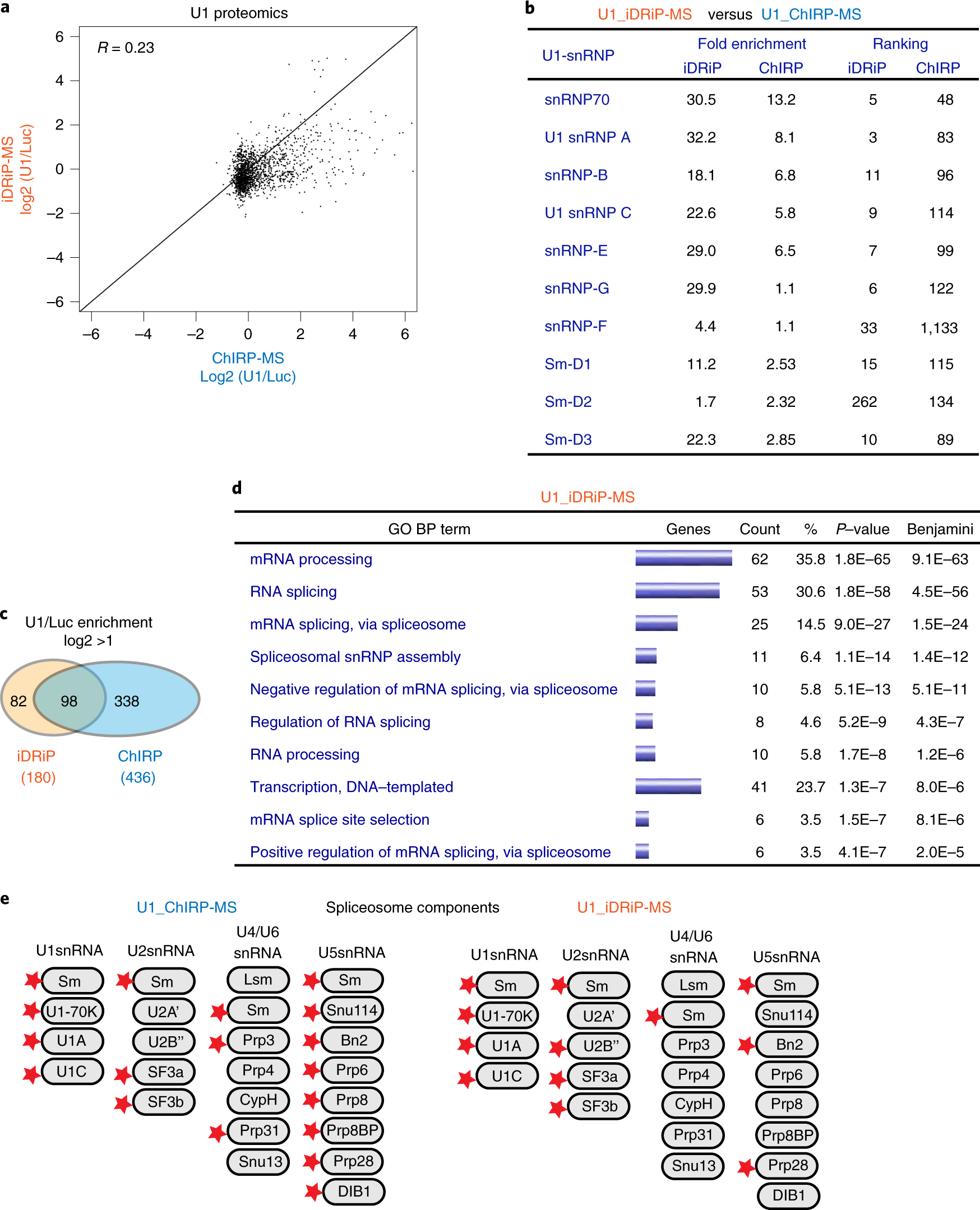 Fig. 5: Differential U1 proteomes obtained by iDRiP versus ChIRP.