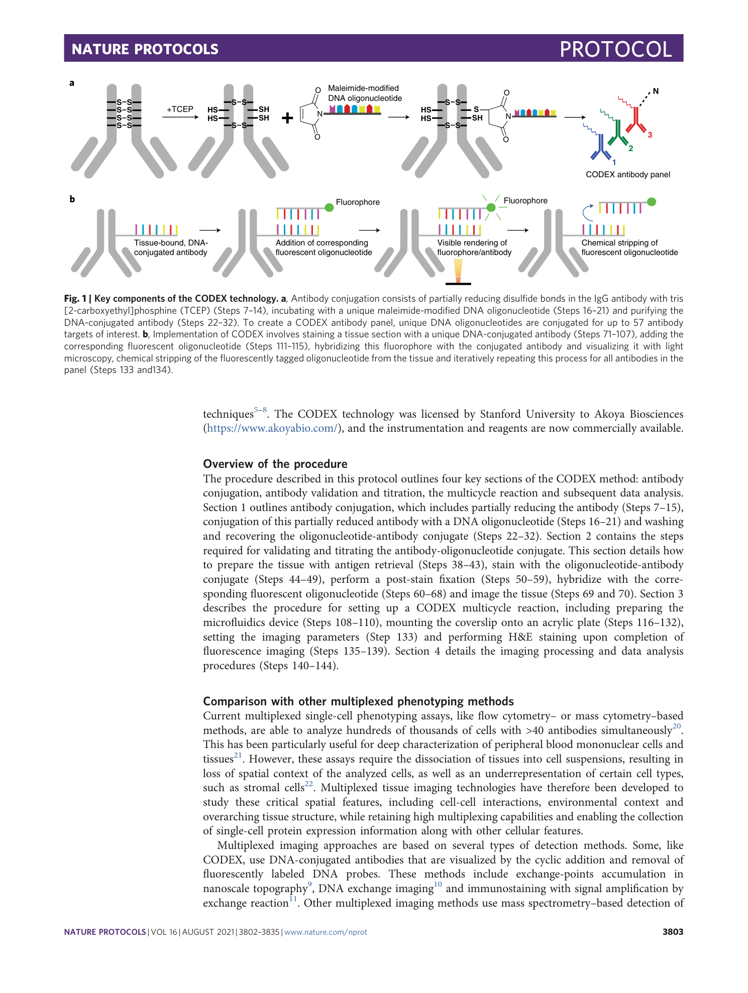 page-2