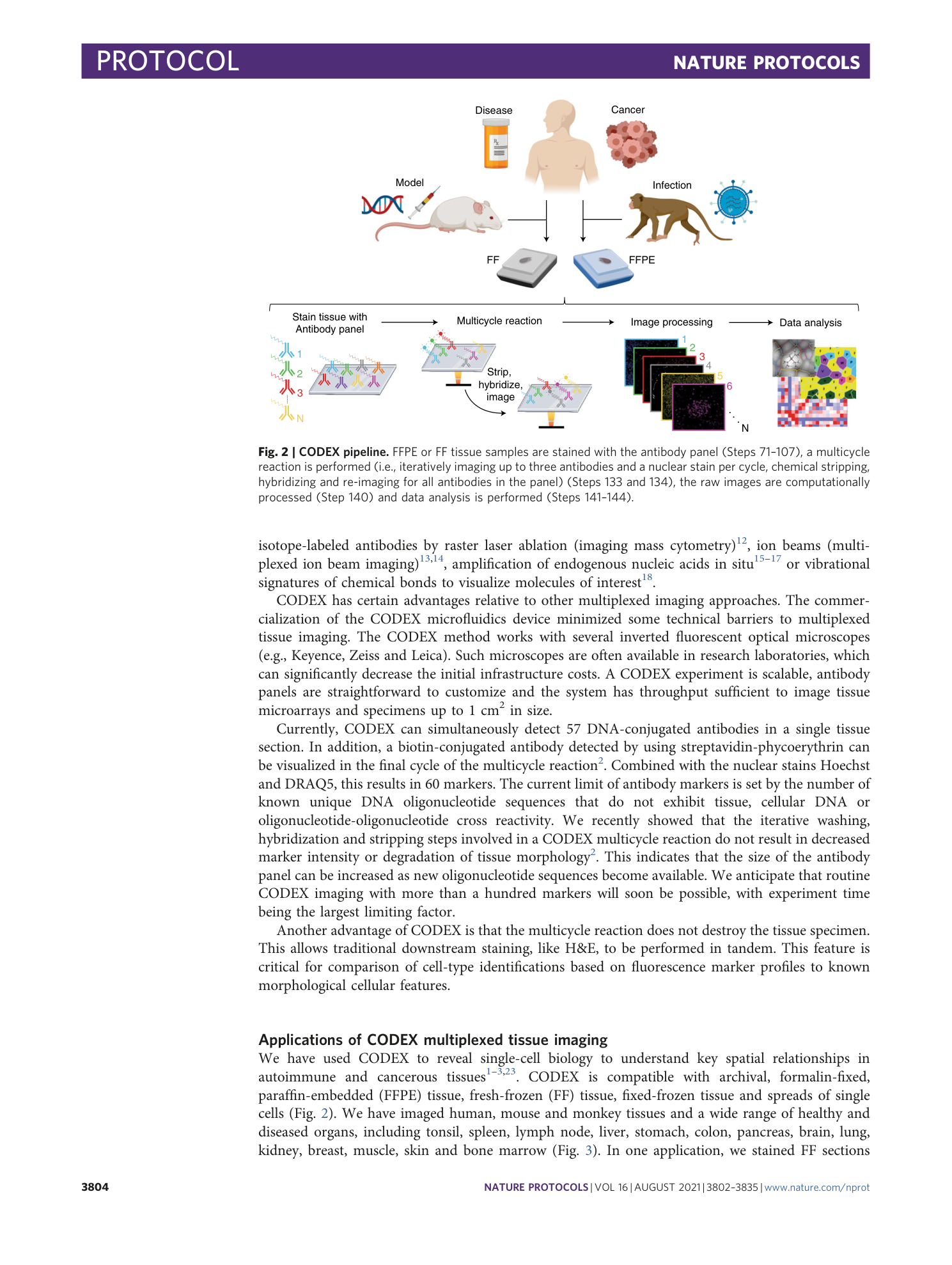 page-3