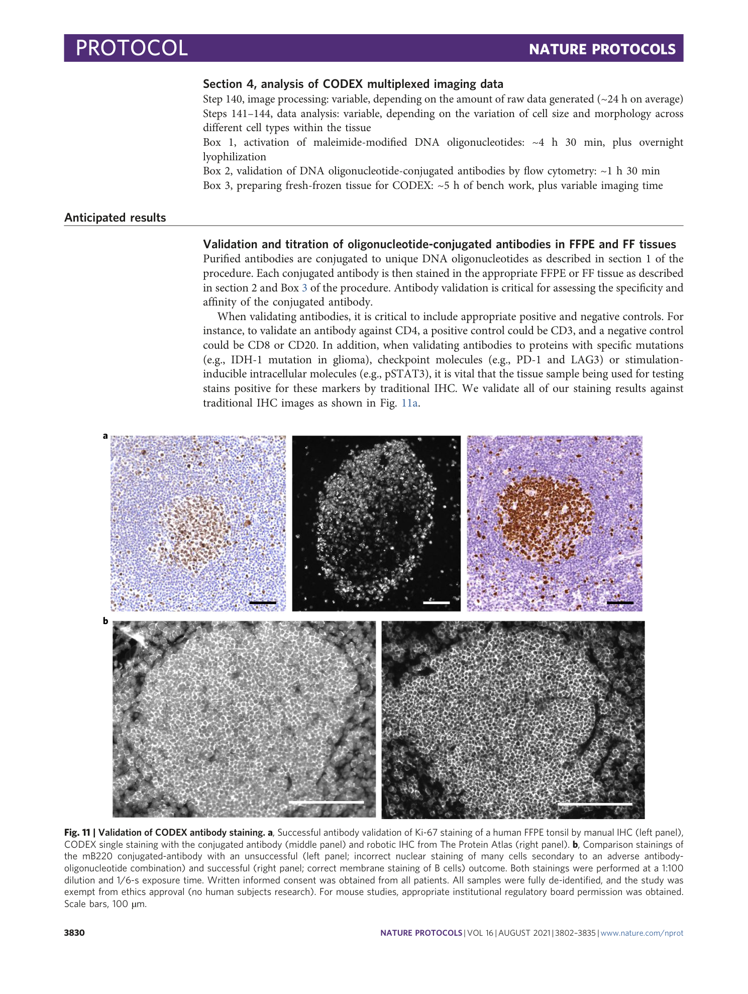 page-29