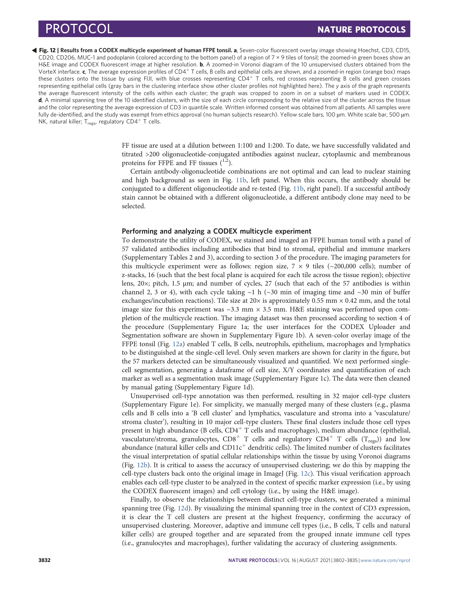 page-31