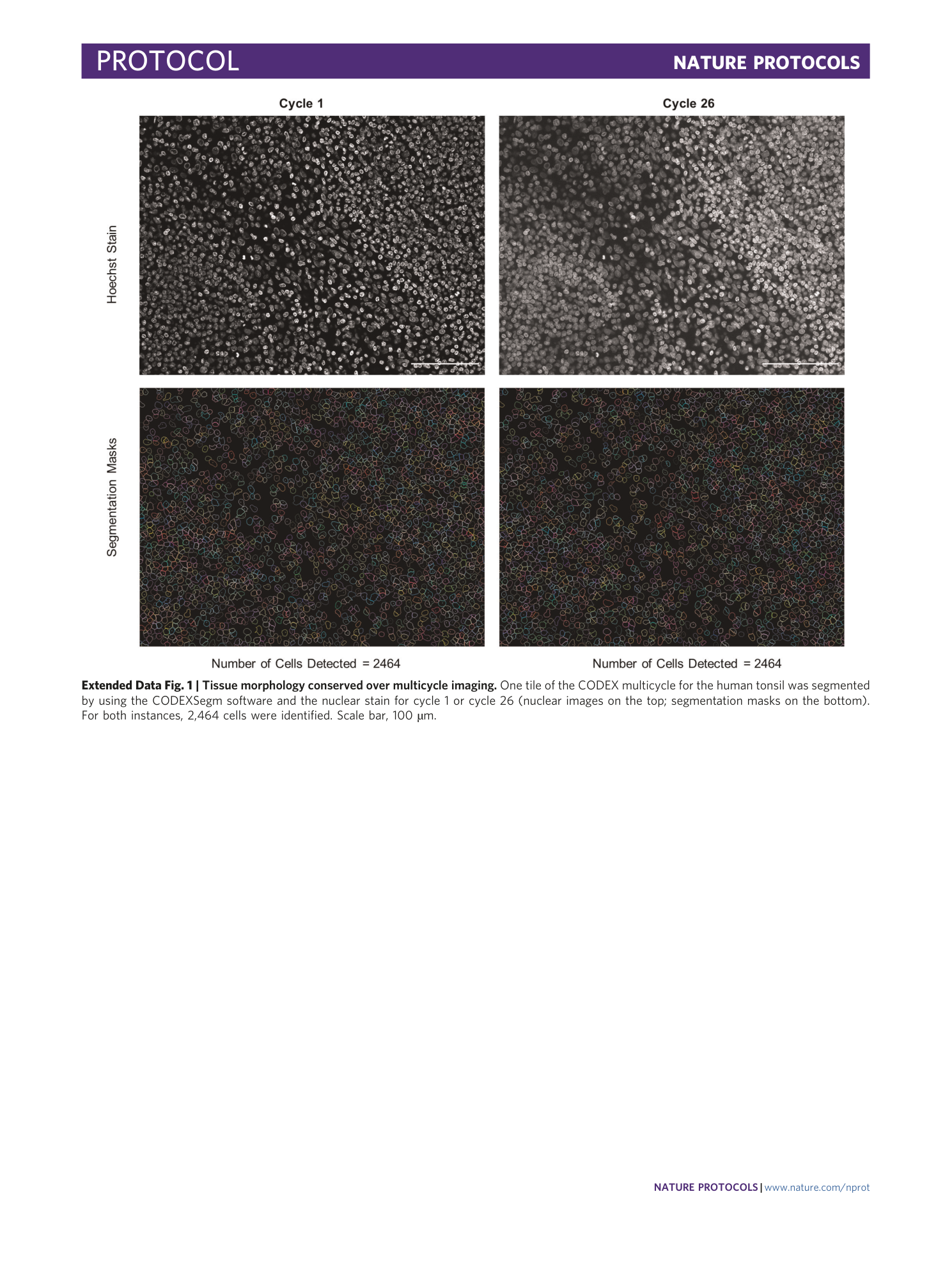 page-35