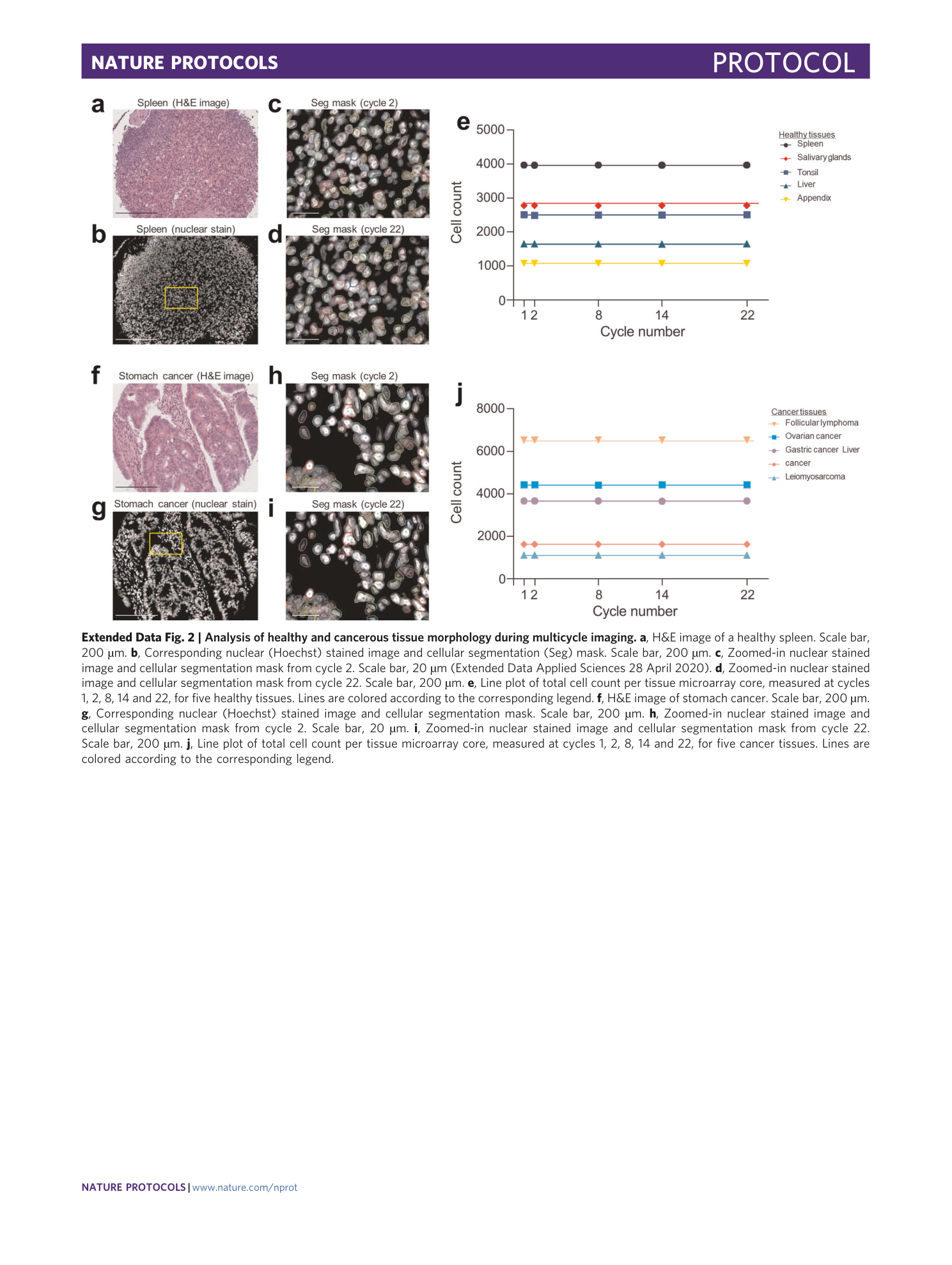 page-36