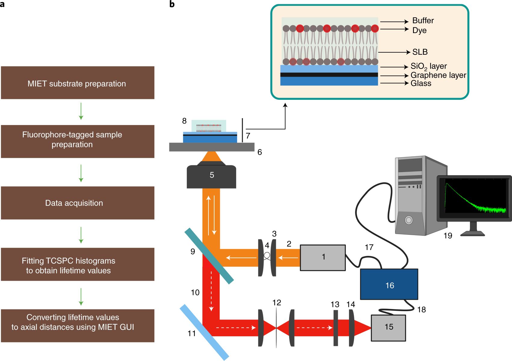 Fig. 2: Experimental setup and work design.