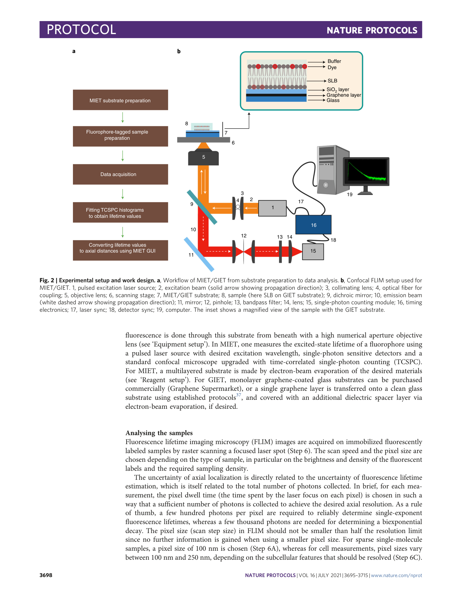 page-4