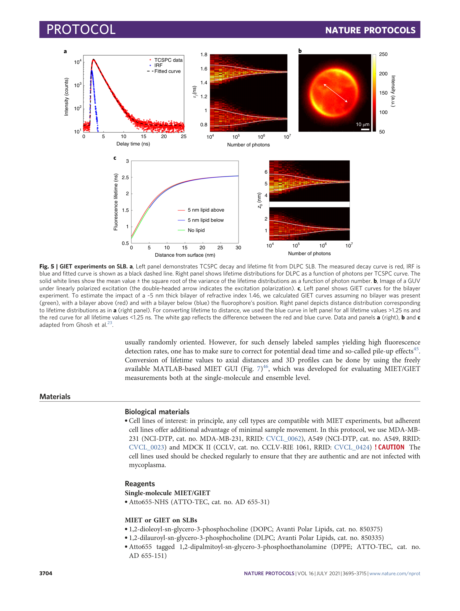 page-10