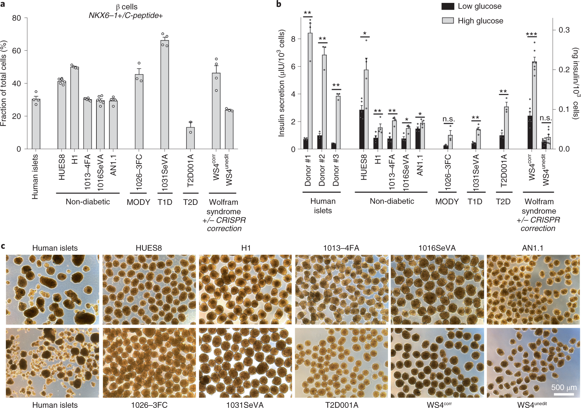 Fig. 5: SC-β cells differentiated from a wide range of cell lines.
