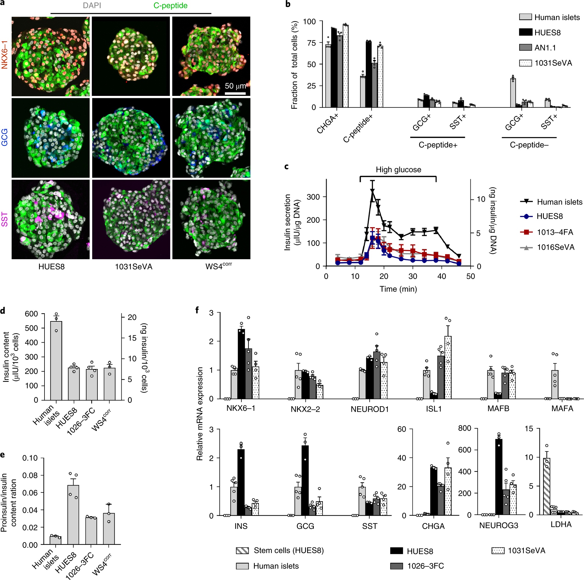 Fig. 6: In-depth characterization of SC-β cells.