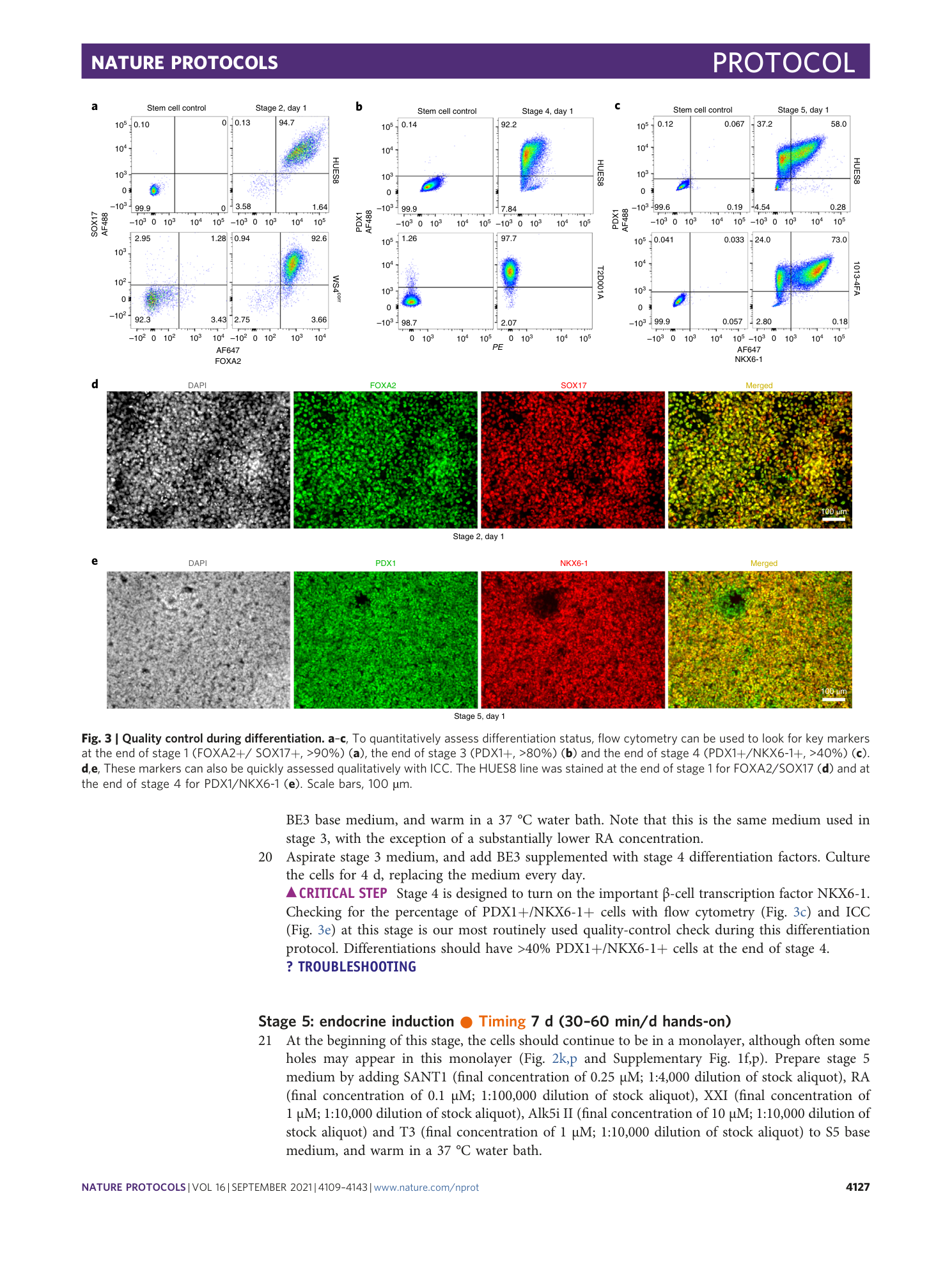 page-19