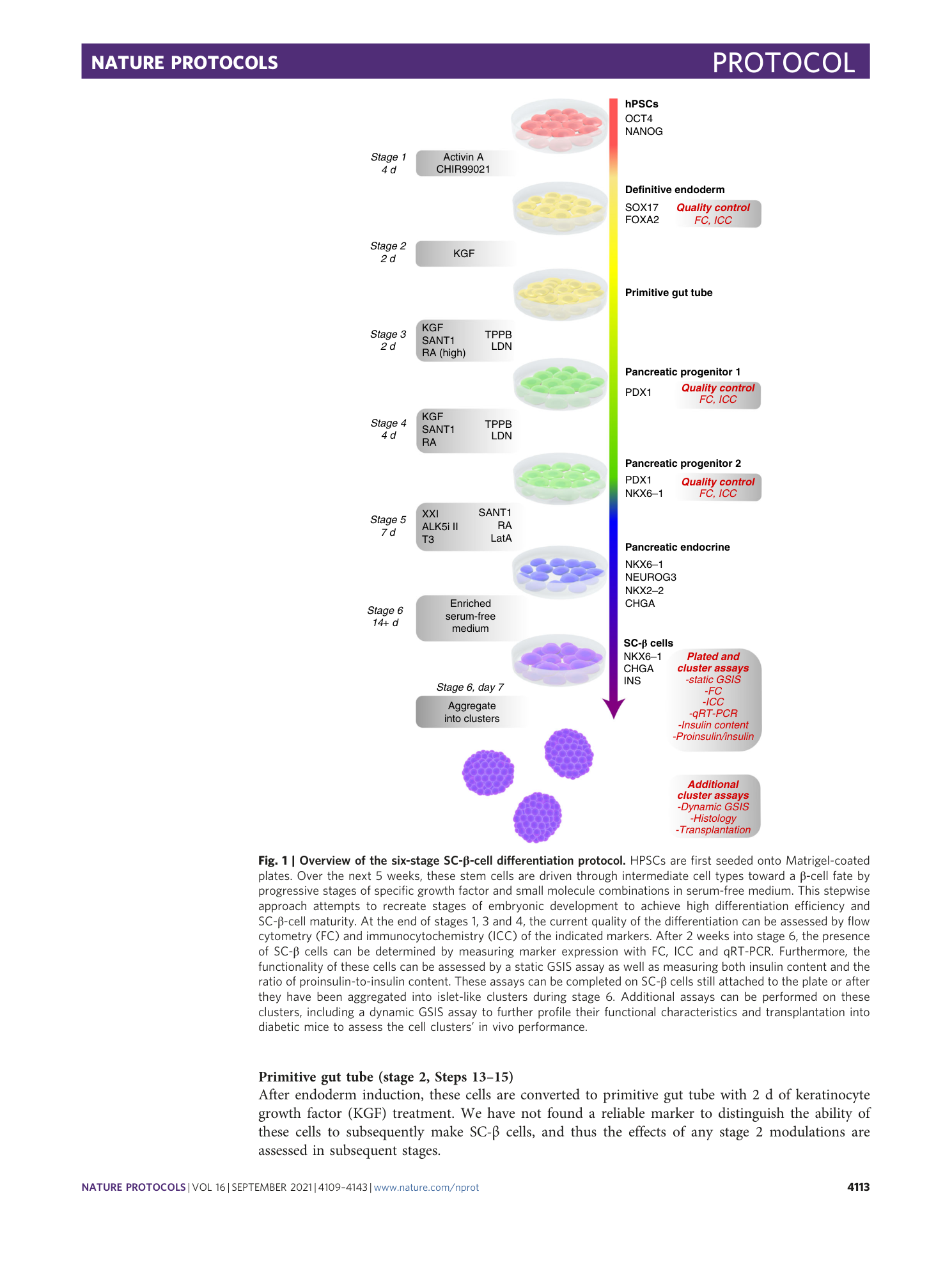 page-5
