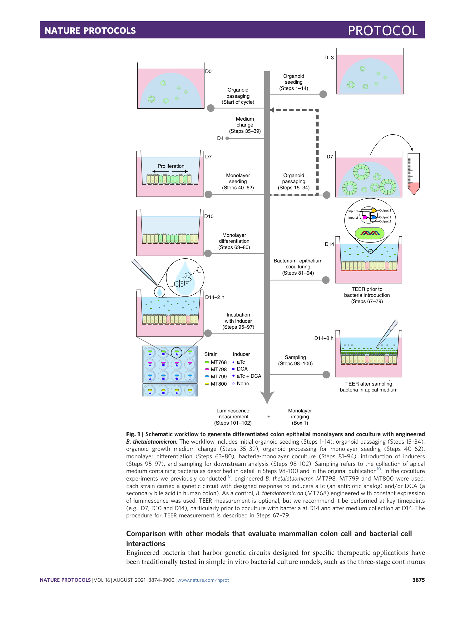 page-2