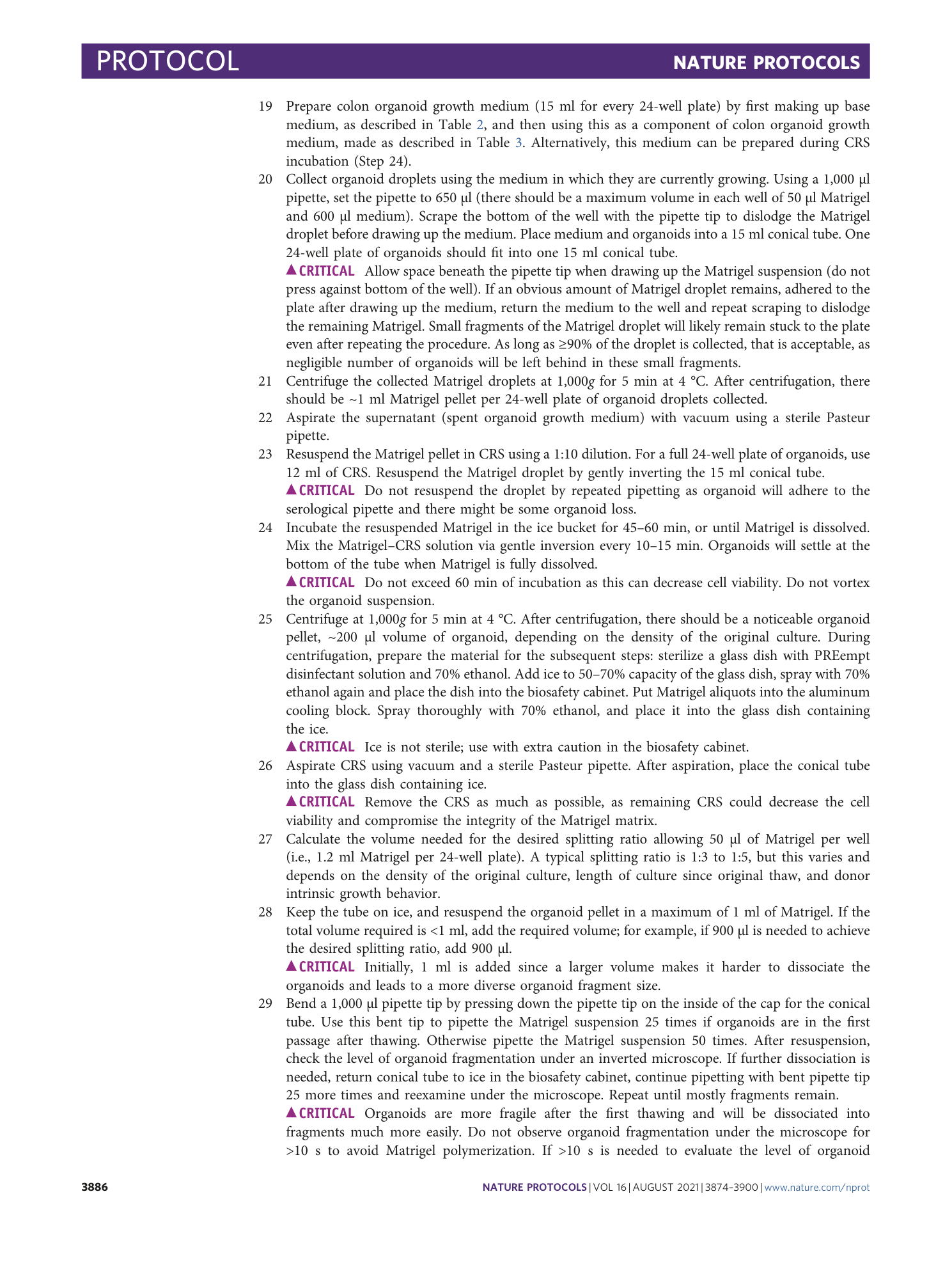 page-13