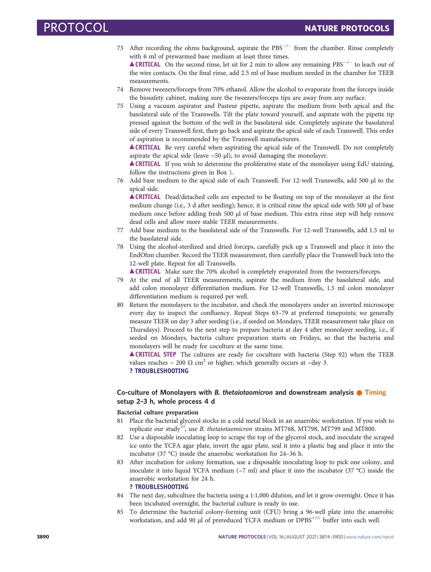 page-17