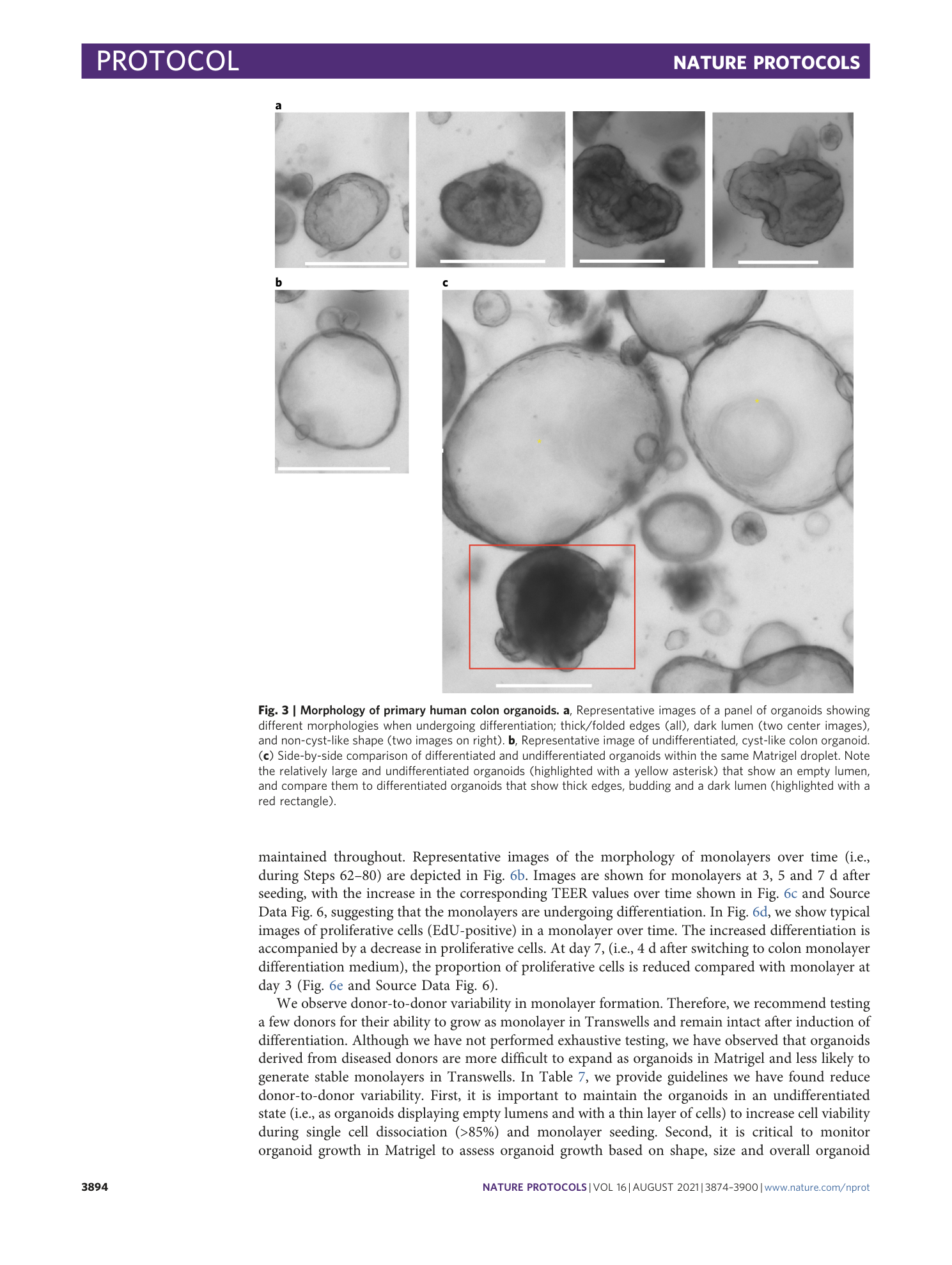 page-21