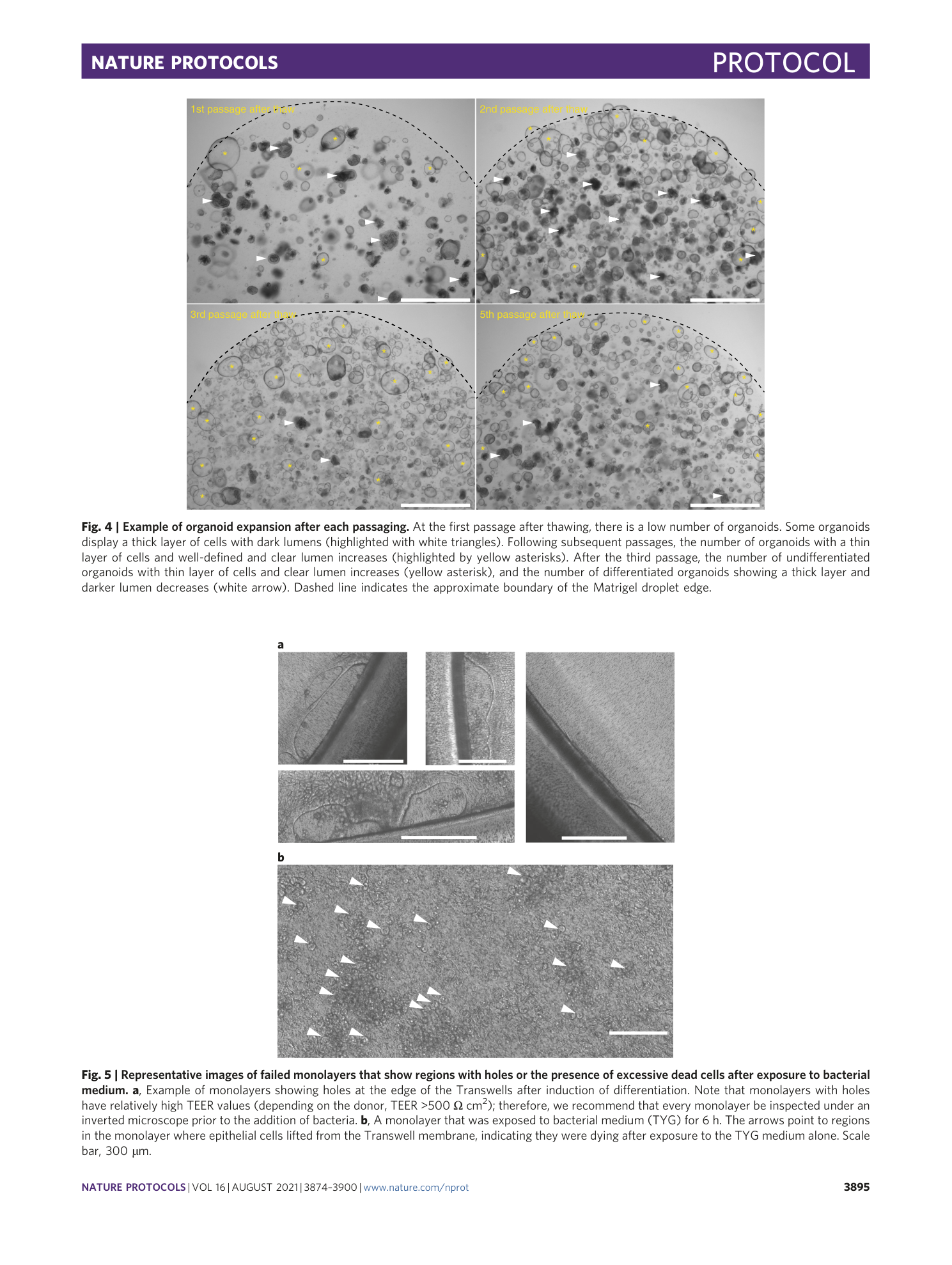 page-22