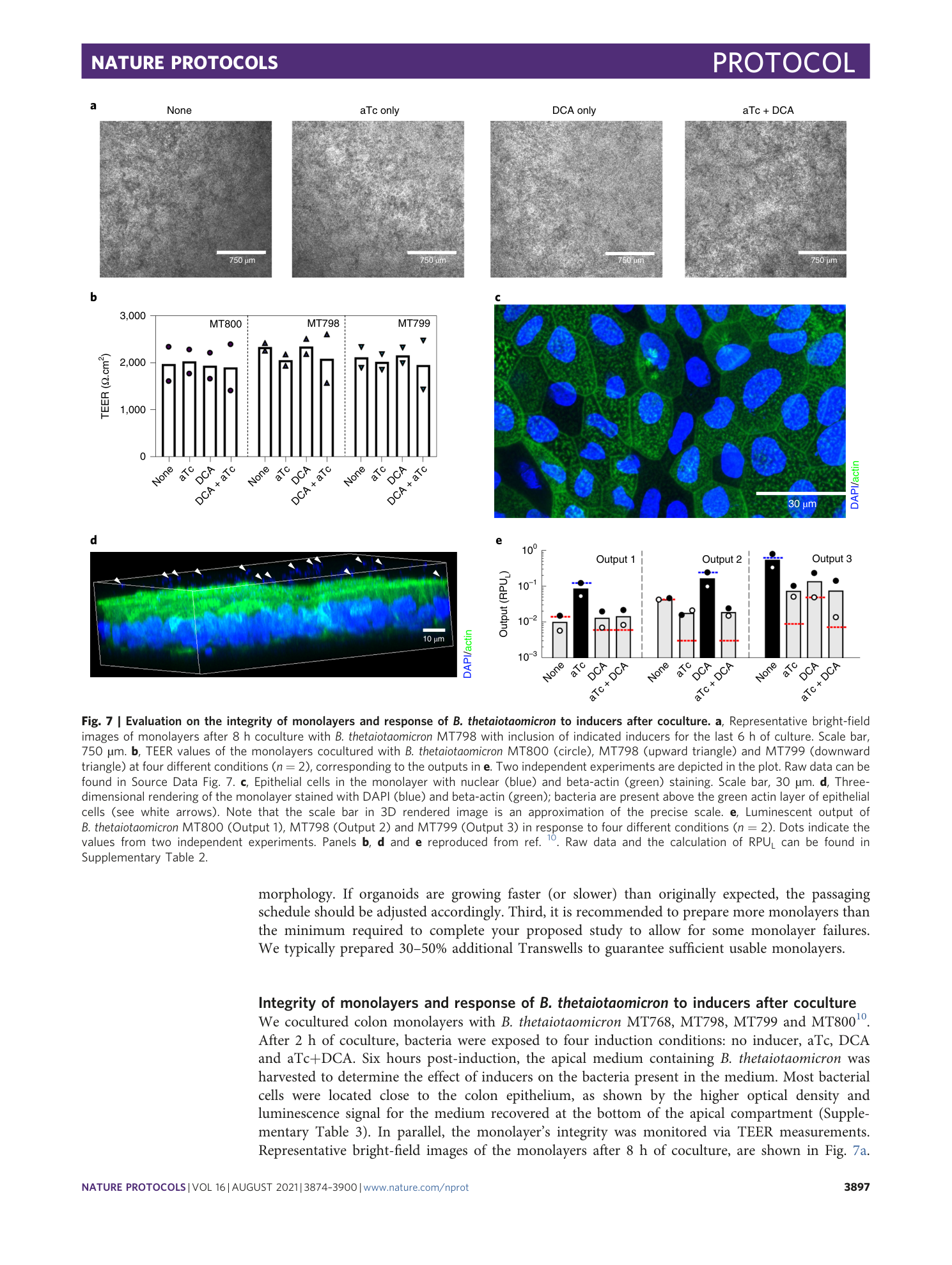 page-24