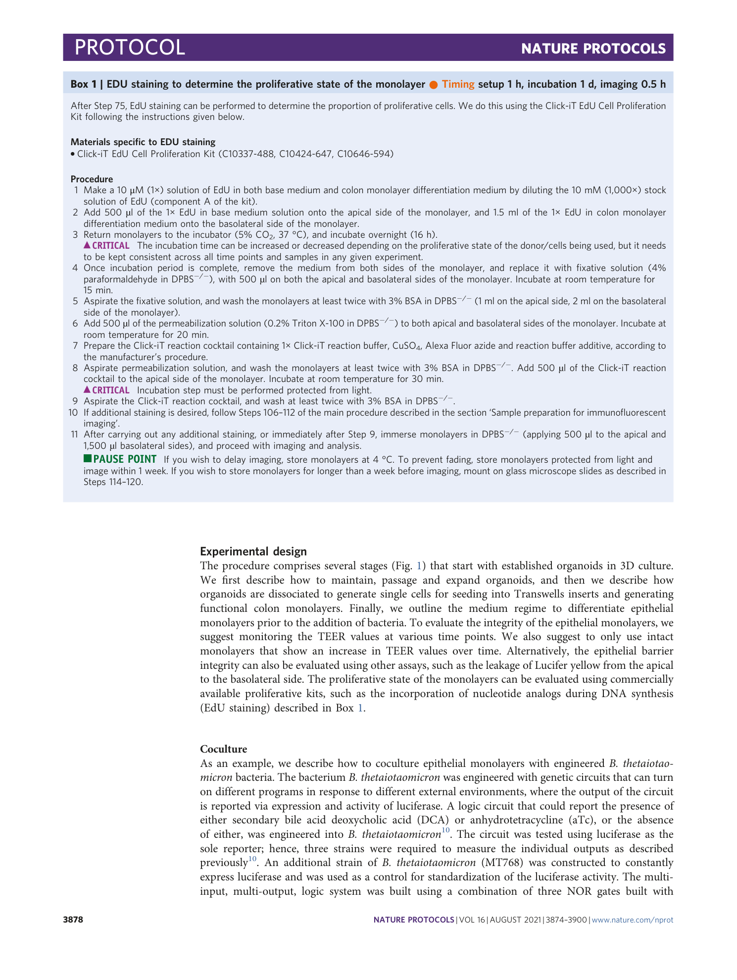page-5