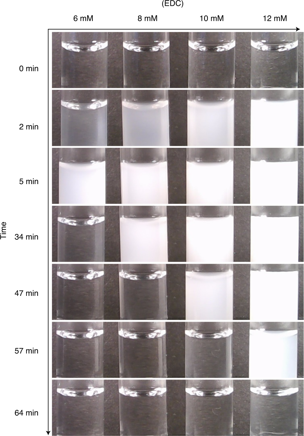 Fig. 12: Time-lapse series of photographs shows the activation of 10 mM Fmoc-E-OH (1) with several amounts of EDC.