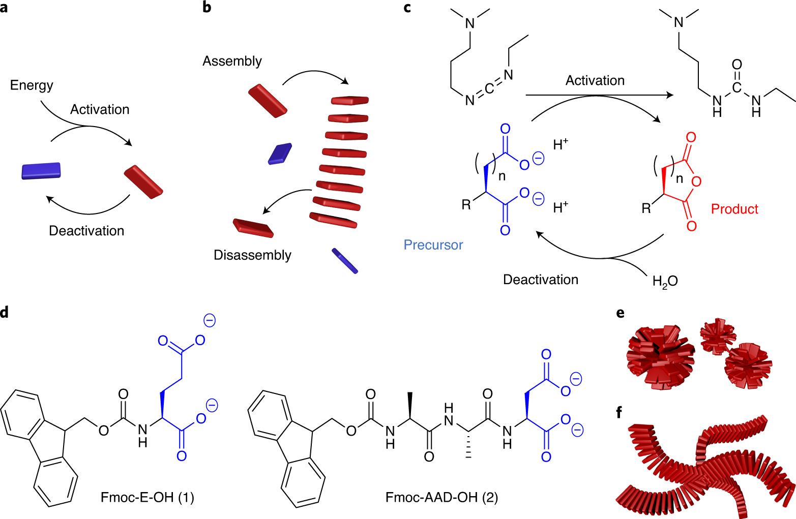 Fig. 1: In chemically fueled self-assembly, molecules are activated and deactivated for assembly by a chemical reaction cycle.