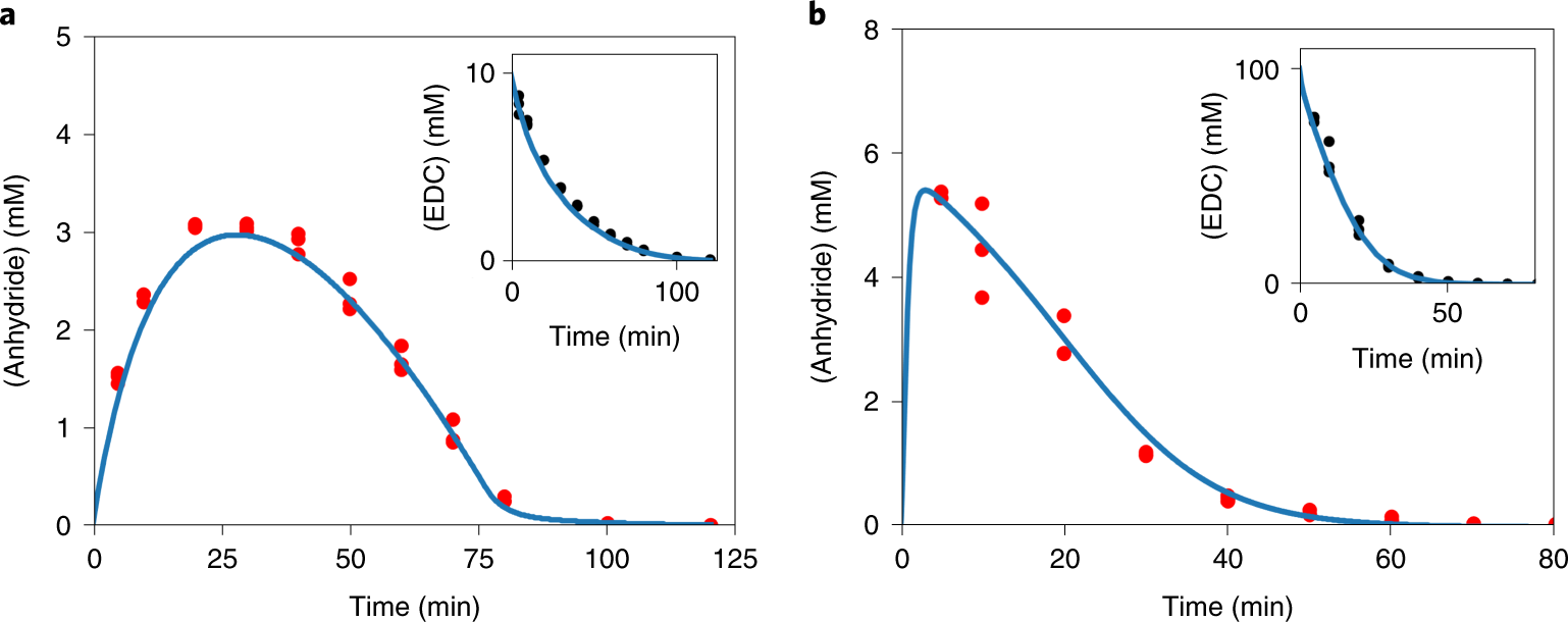 Fig. 2: Kinetic analysis of the reaction cycle.