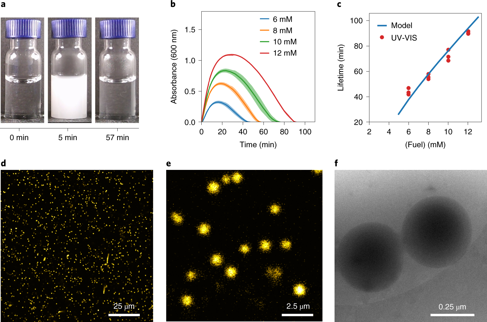 Fig. 3: Material properties of 10 mM precursor 1 in response to fuel.