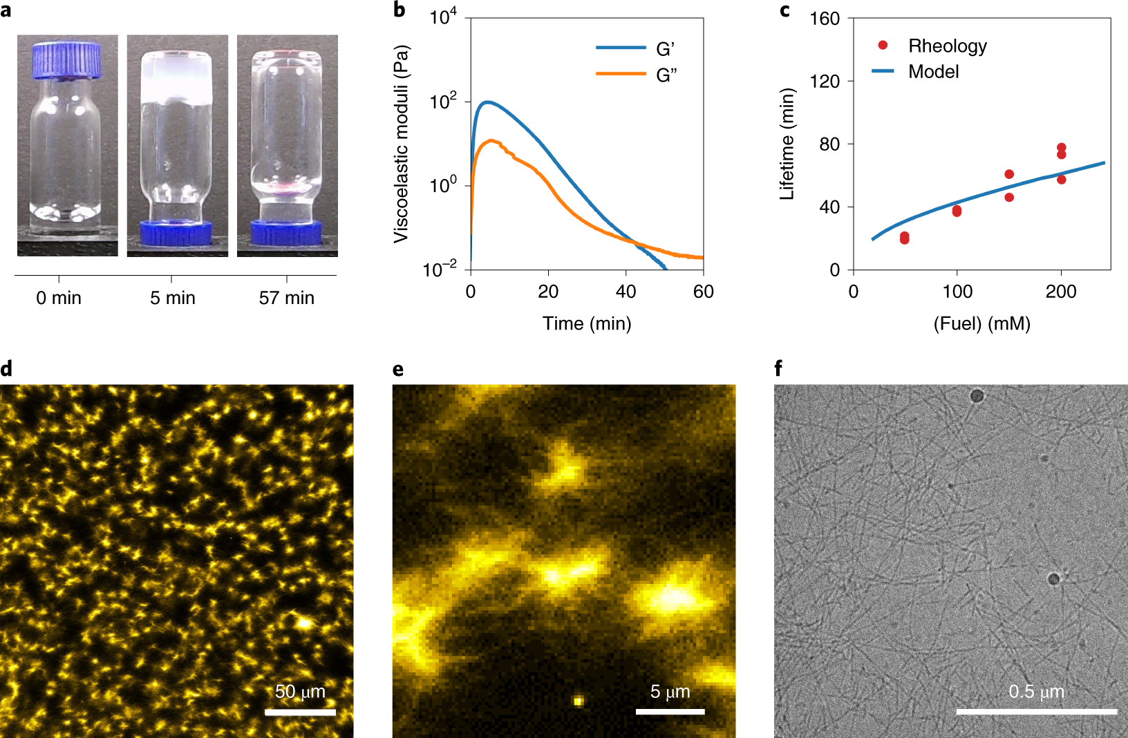 Fig. 4: Material properties of precursor 2 in response to fuel.