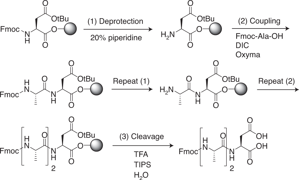 Fig. 6: Reaction scheme of the proposed solid-phase peptide synthesis of 2.