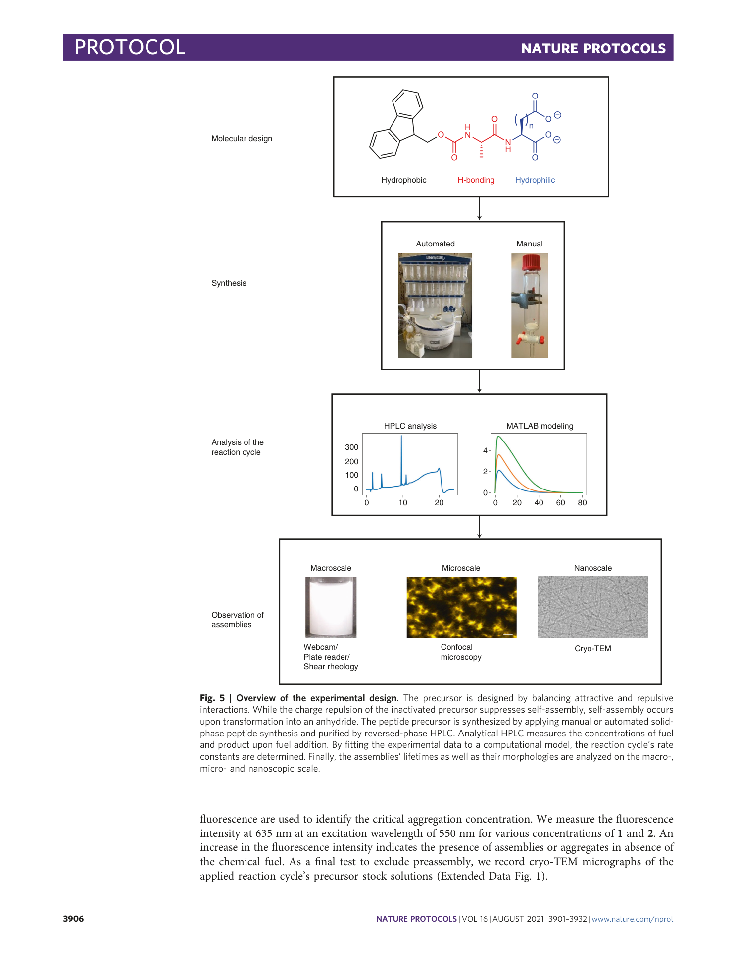 page-6