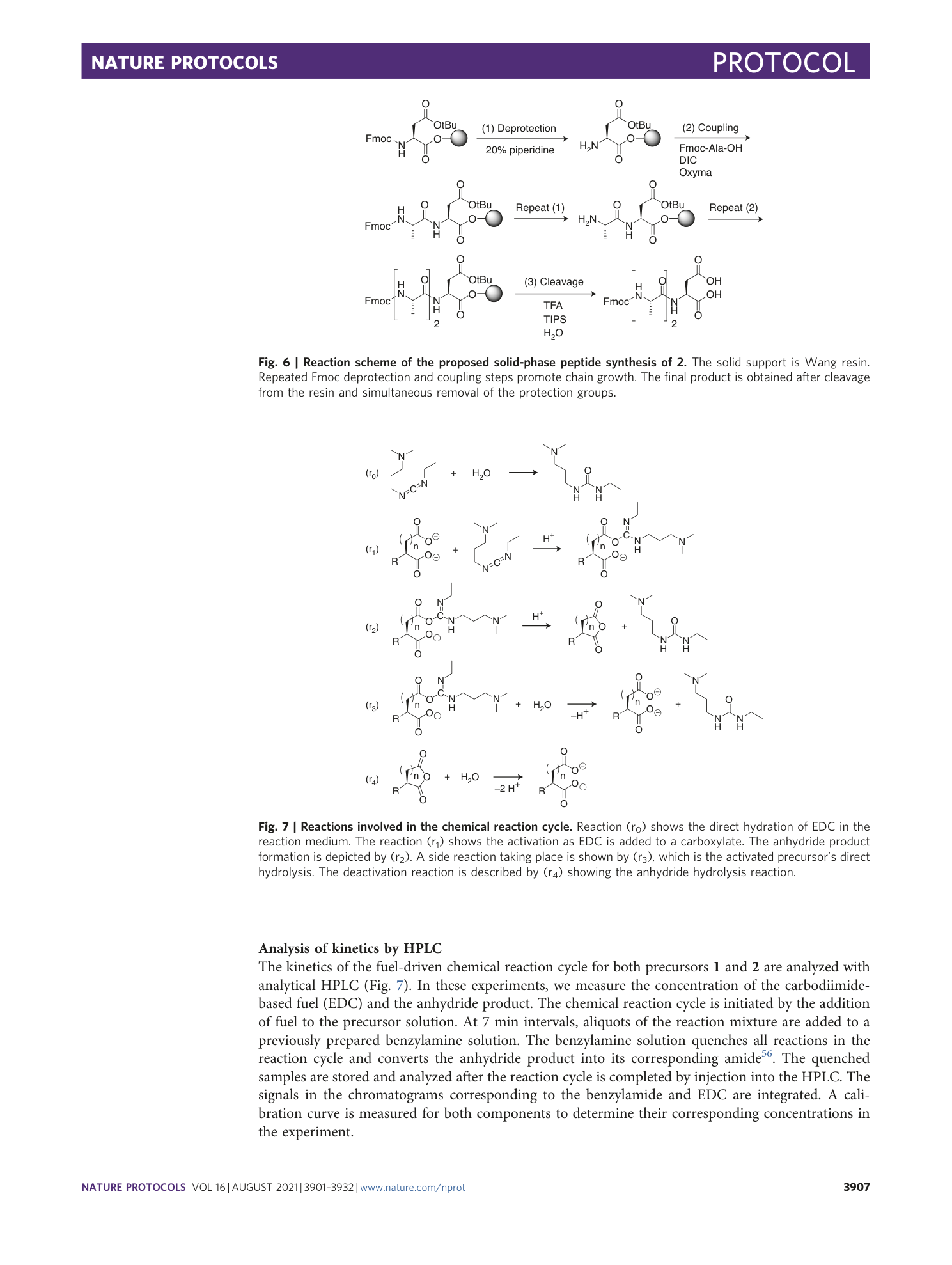 page-7