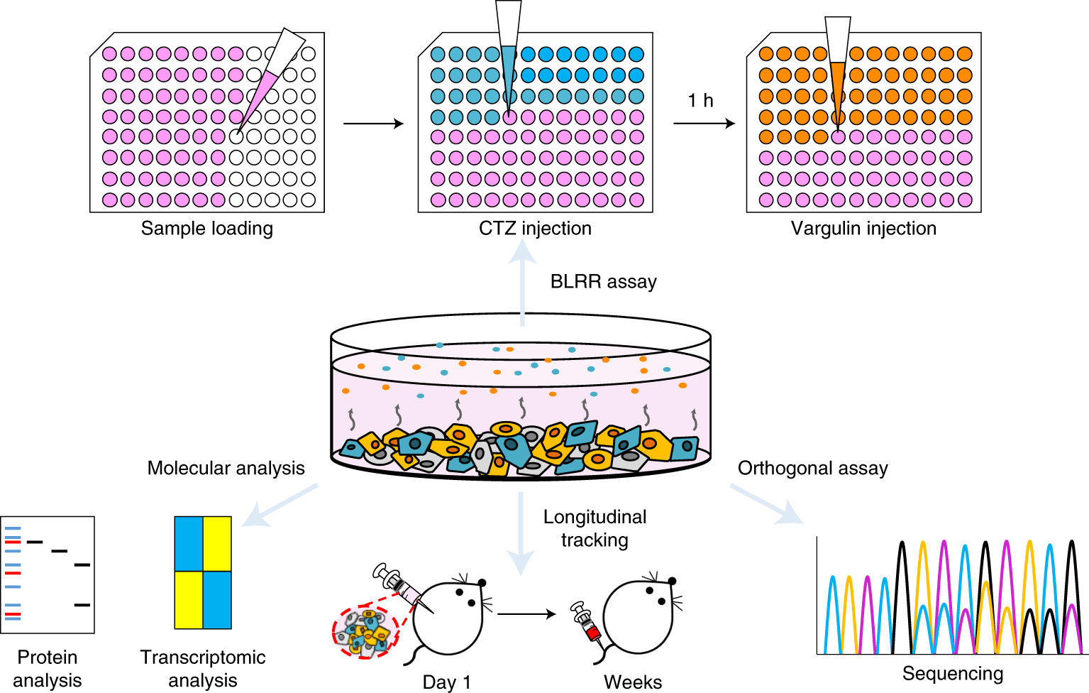 Fig. 3: Multiplexed applications of the BLRR assay.
