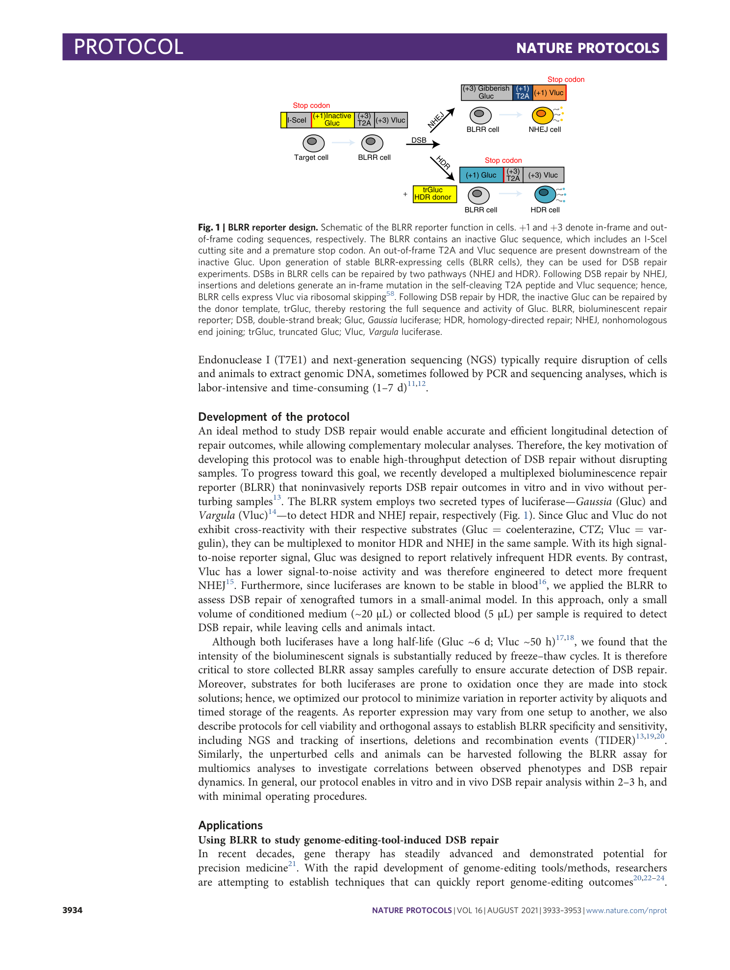 page-2