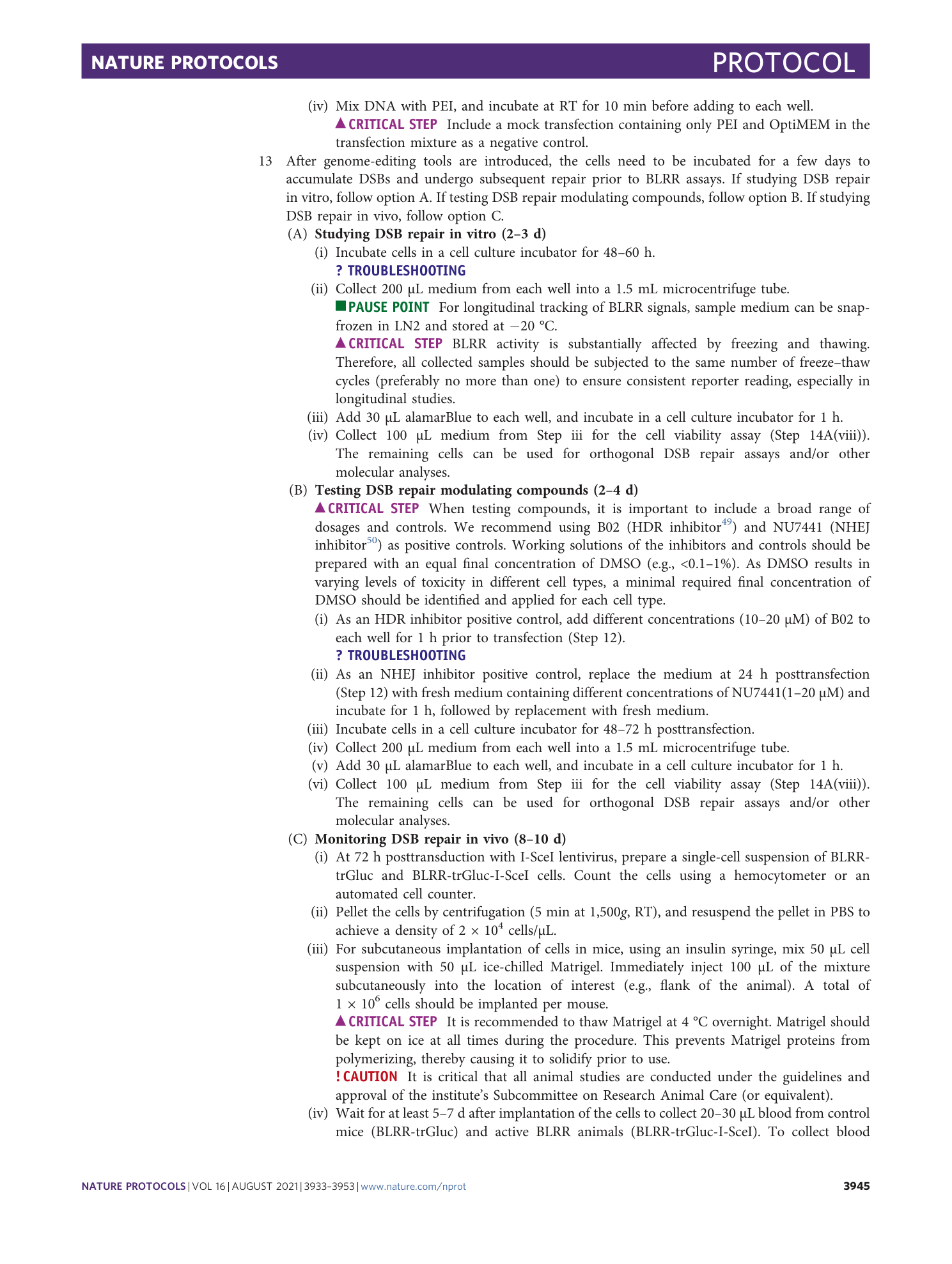 page-13