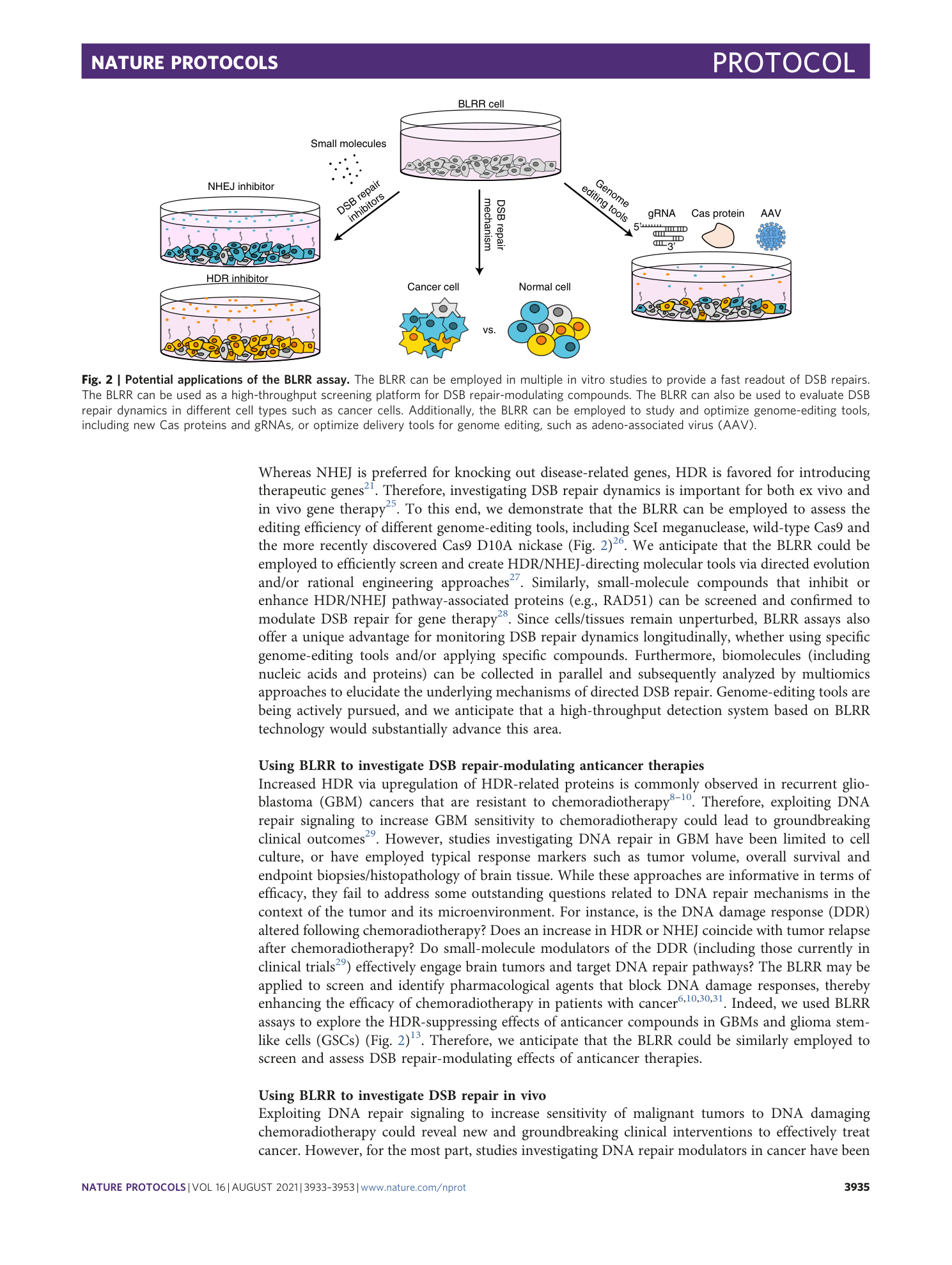page-3