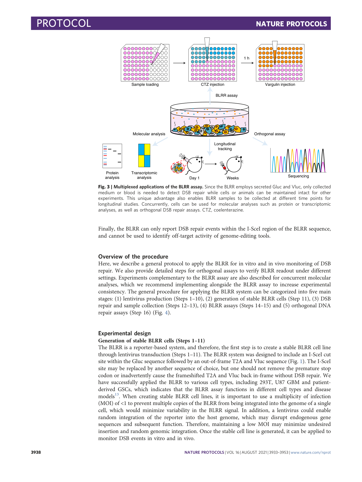 page-6