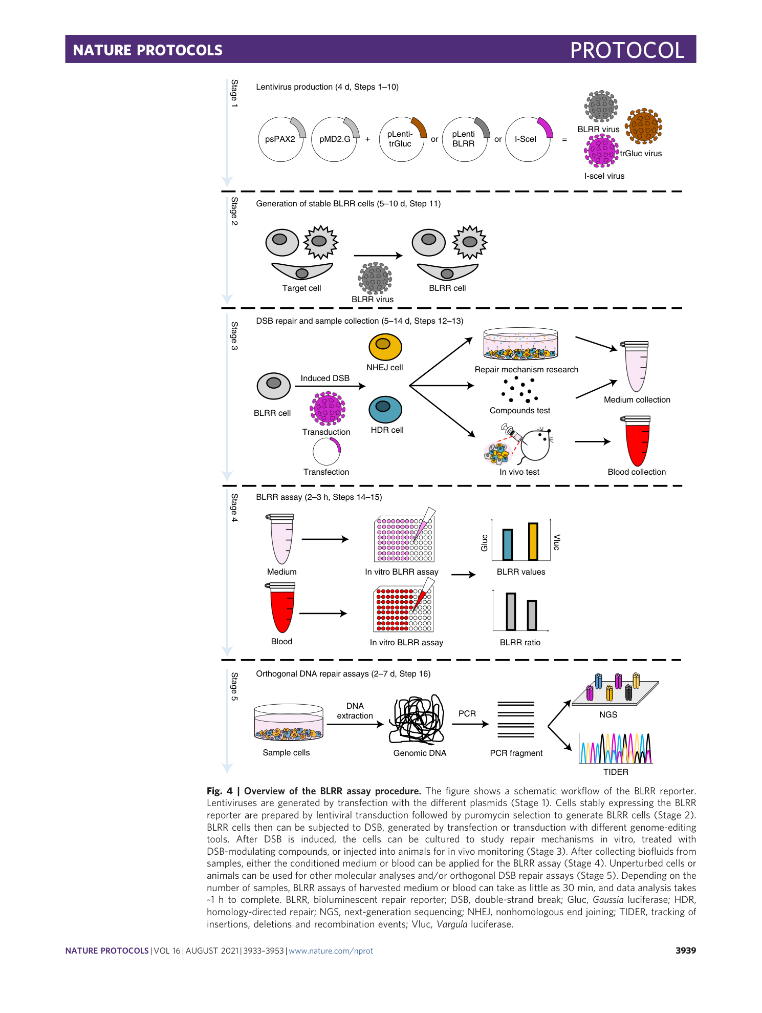 page-7