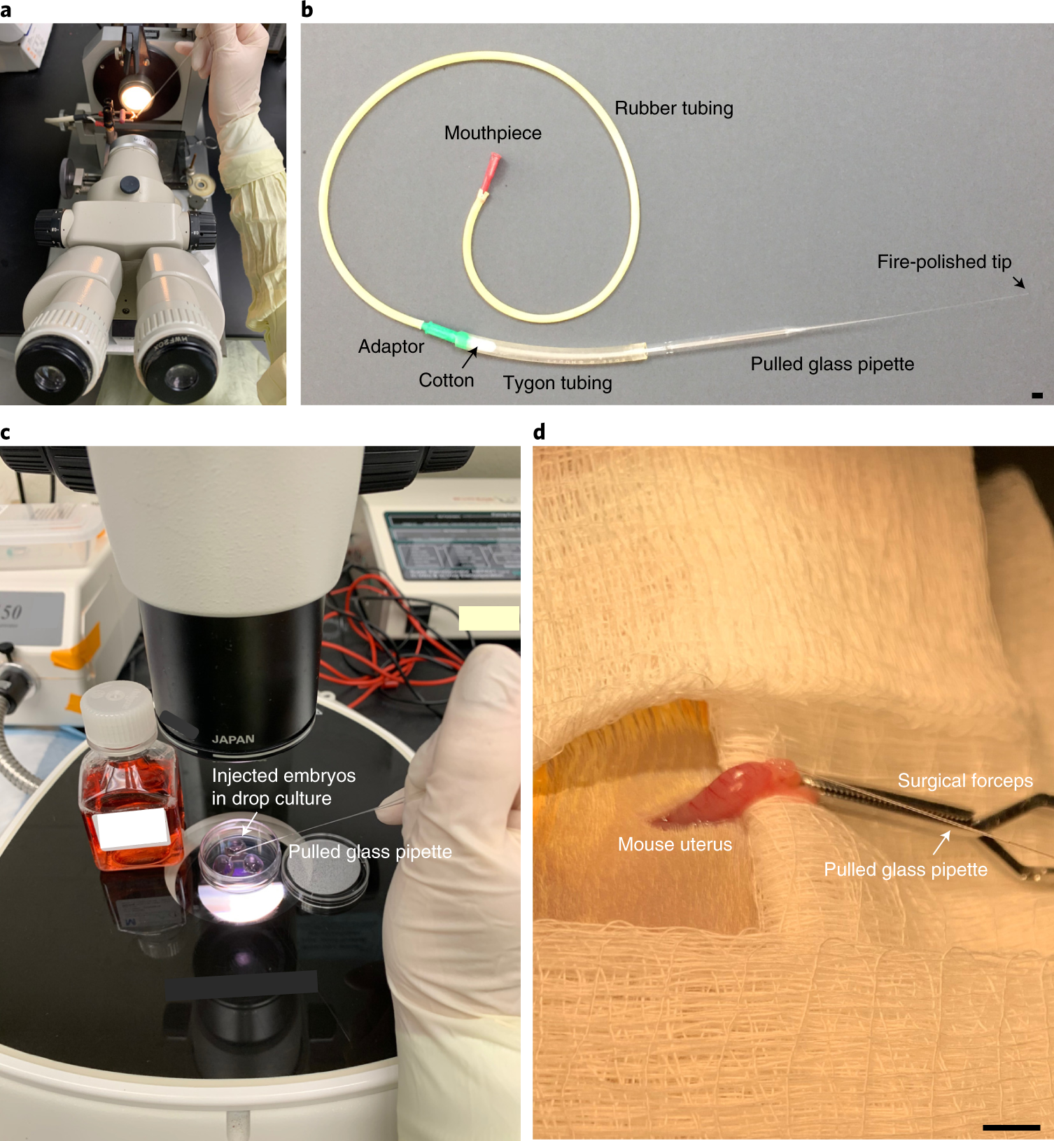 Fig. 6: Equipment and tools needed to perform embryo transfers.