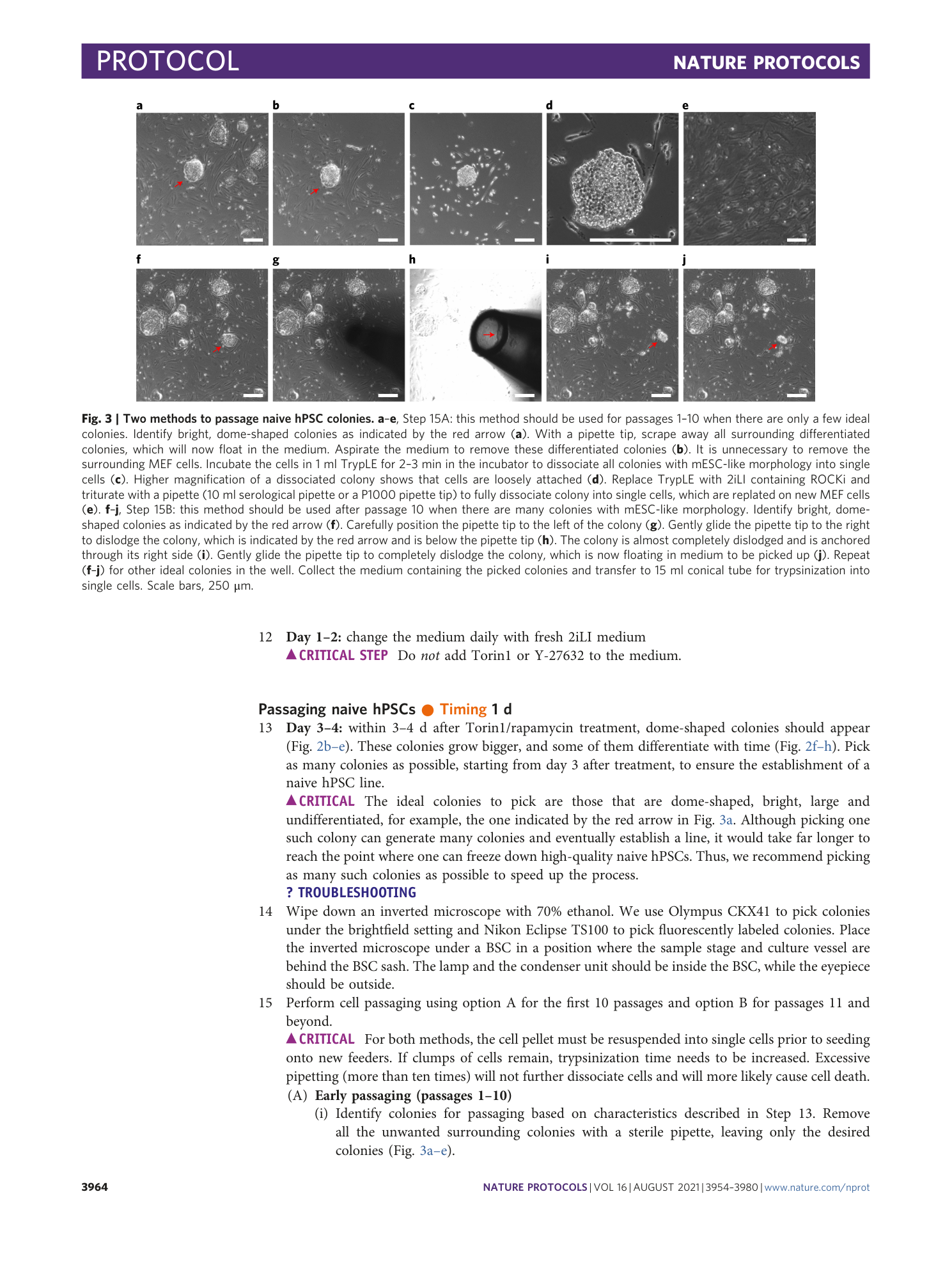 page-11