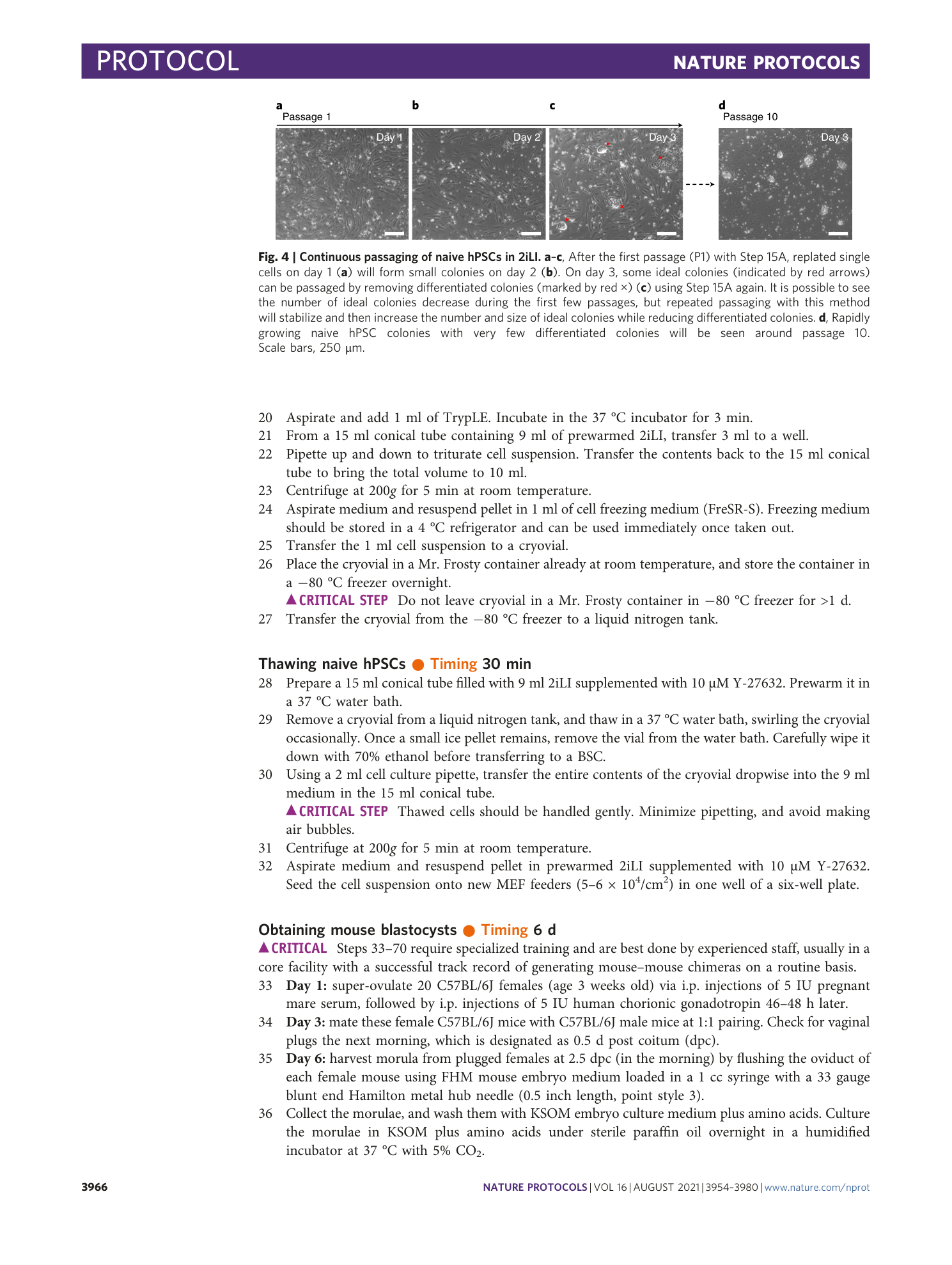 page-13