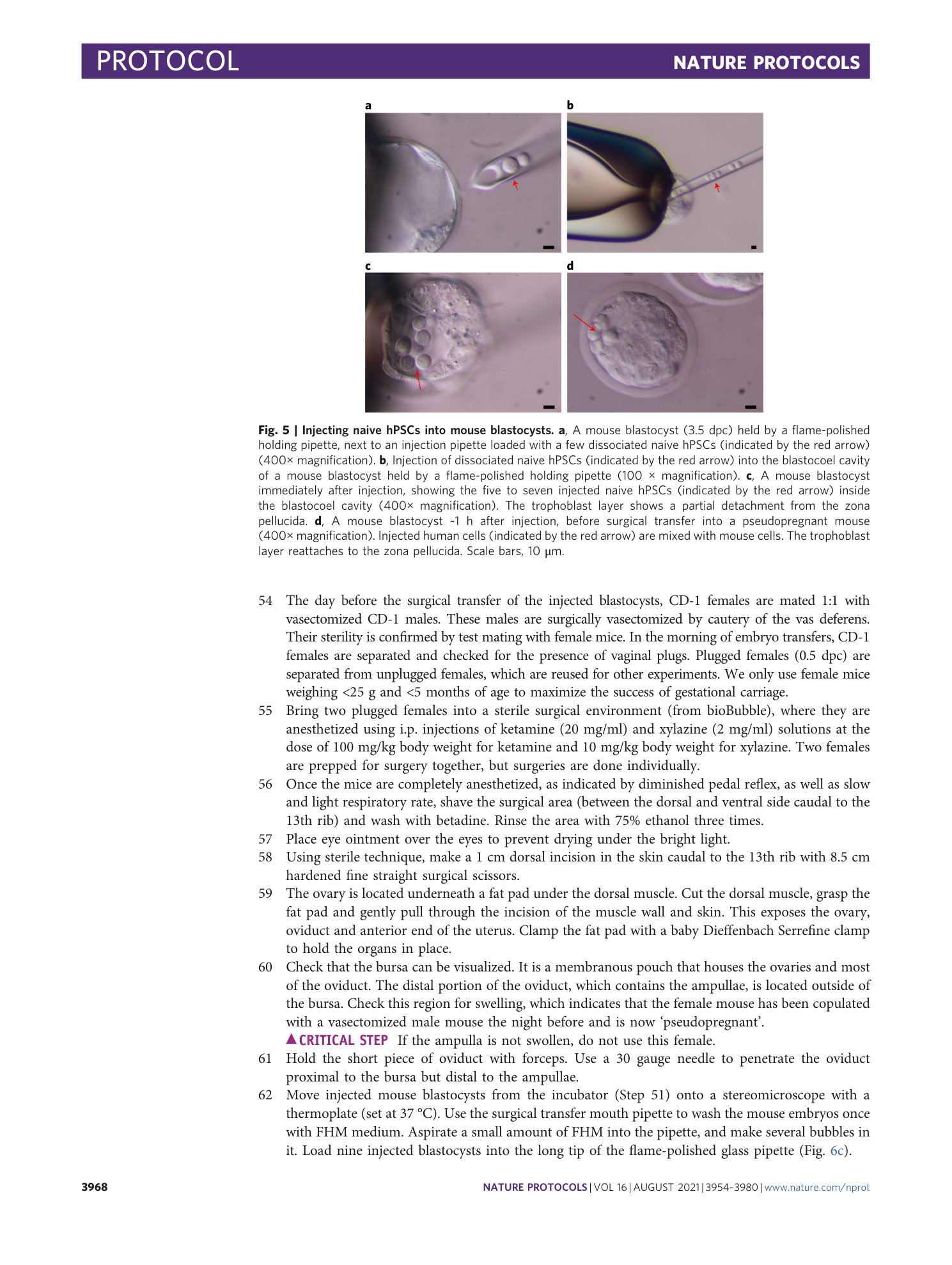page-15
