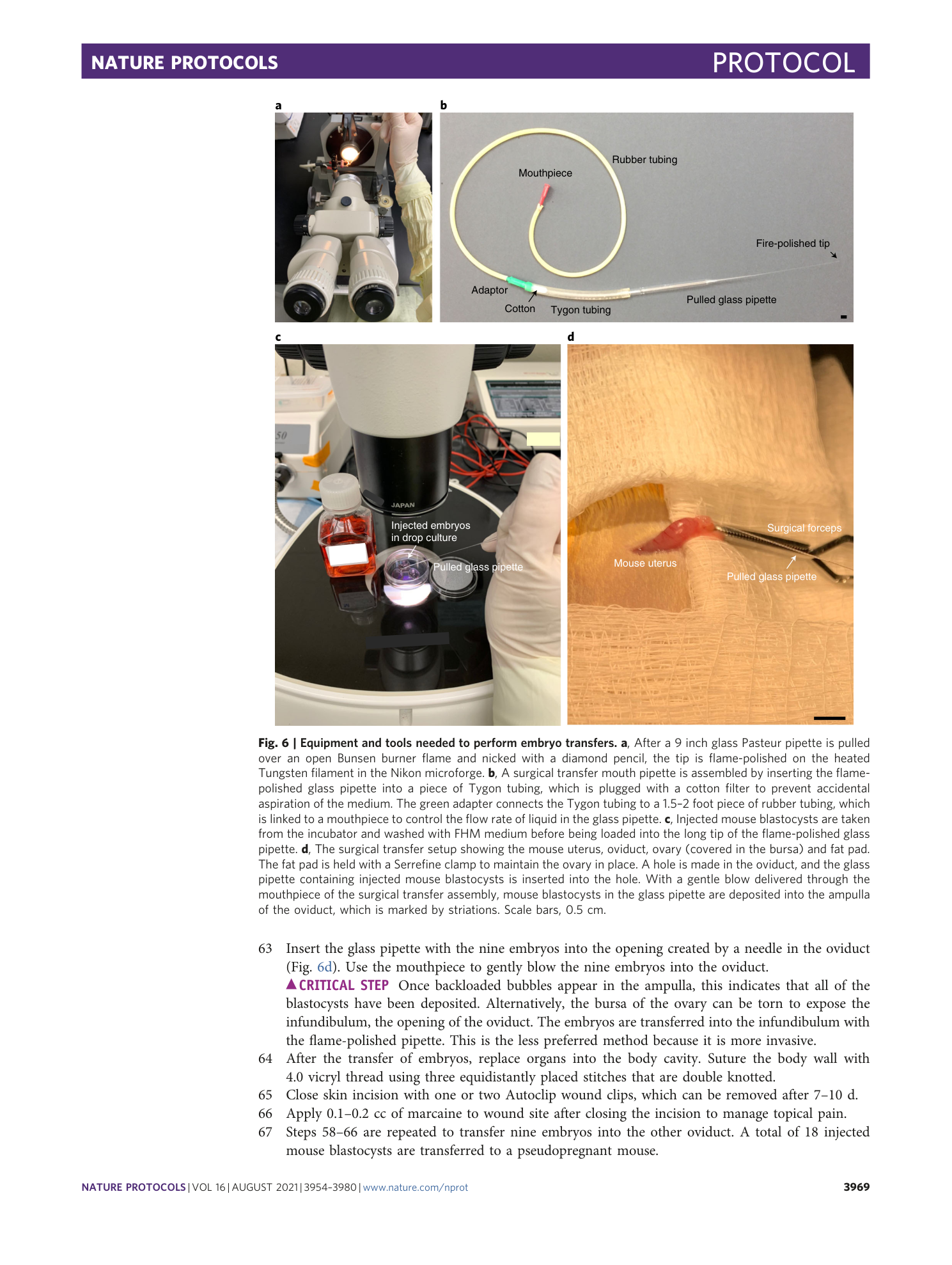 page-16