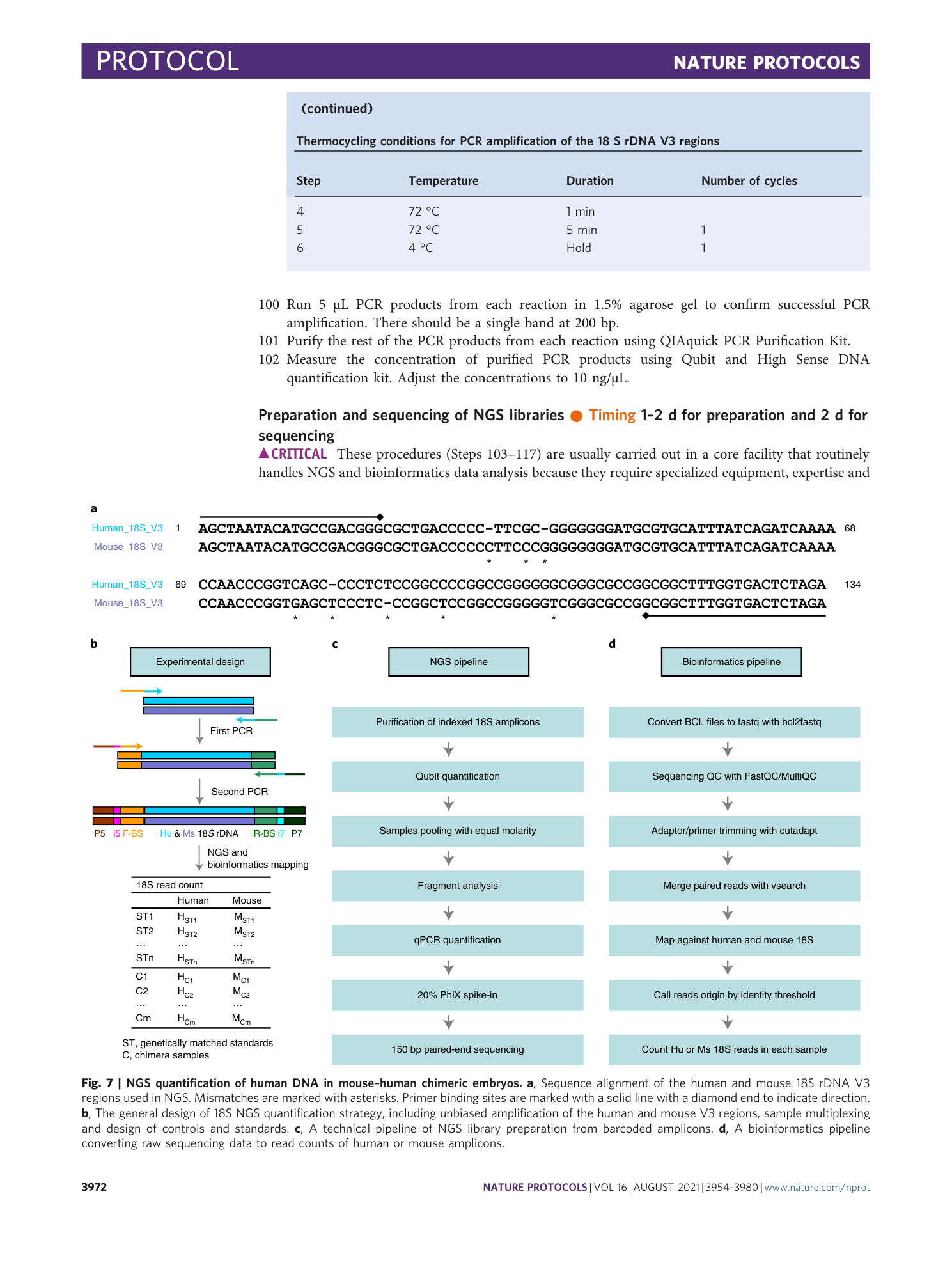 page-19