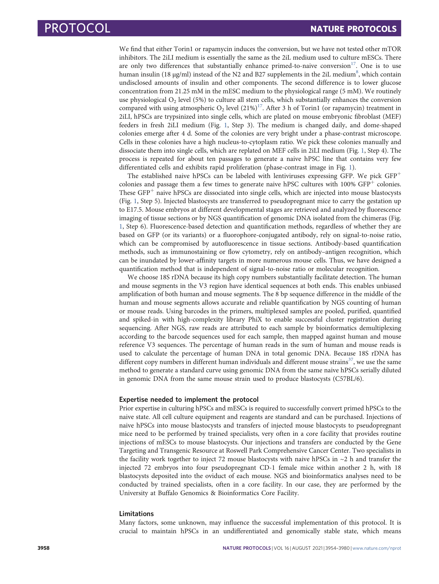 page-5