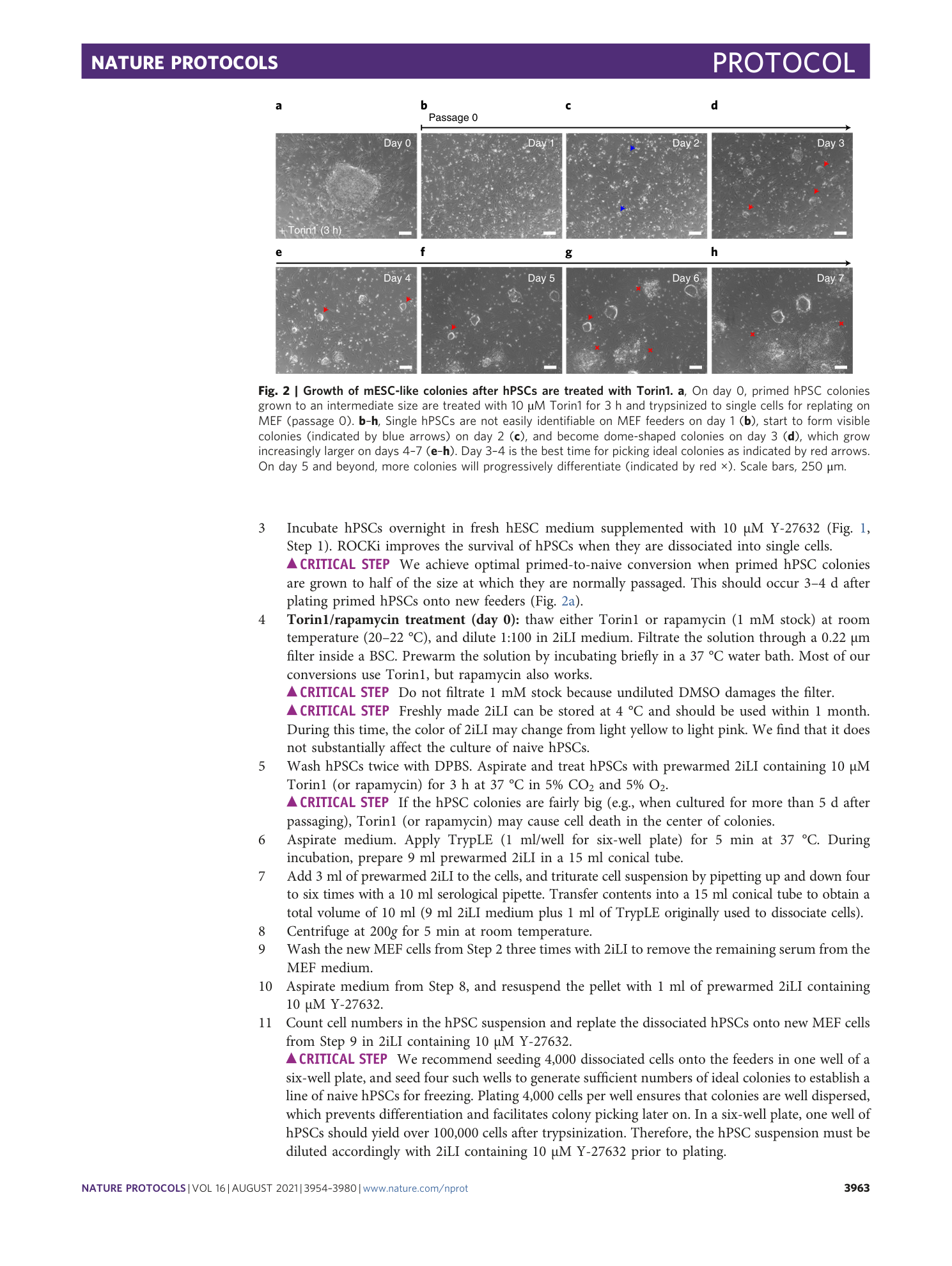 page-10