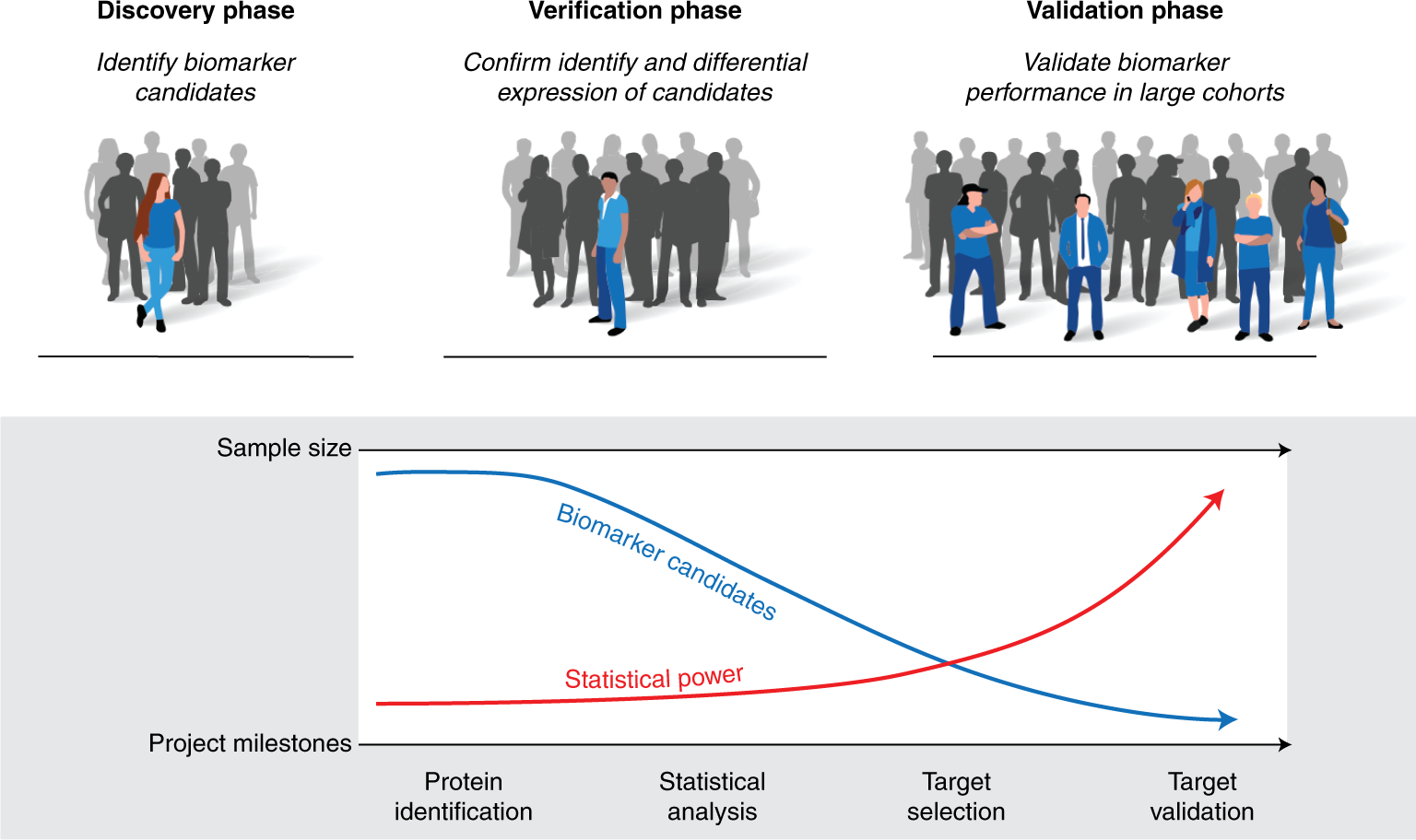 Fig. 1: Phases of biomarker development studies.