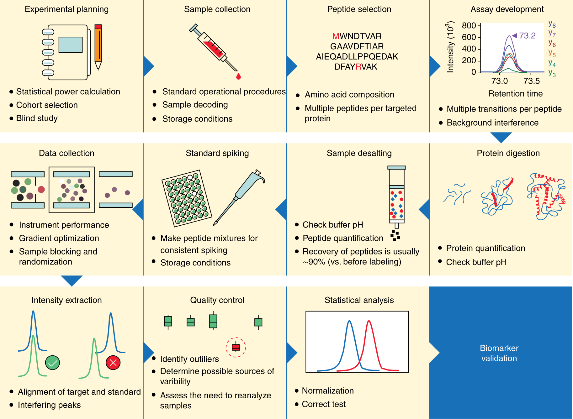 Fig. 5: Considerations for each step of the validation-phase workflow.