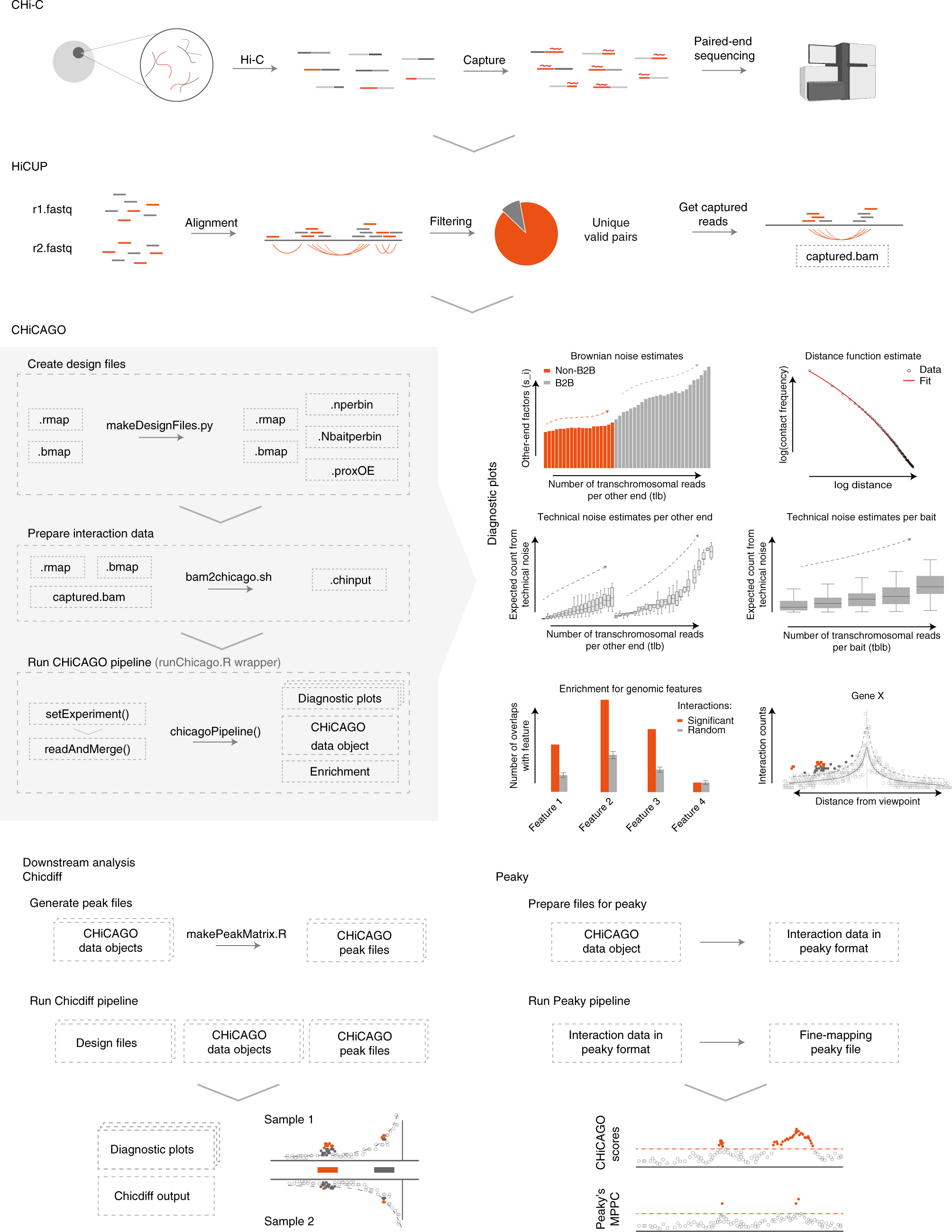 Fig. 2: Standard CHi-C data analysis steps.